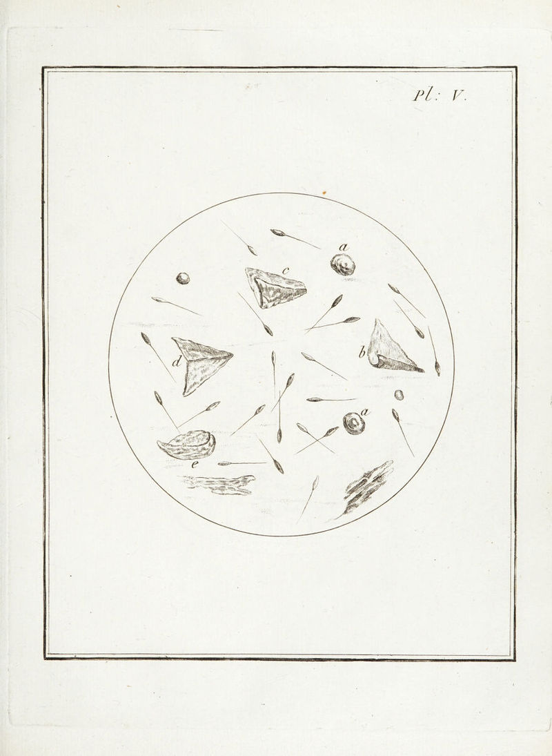 -r-- .TT nifiTr — ' ~'T-.,7â7-«aa .te. Pi: V. I