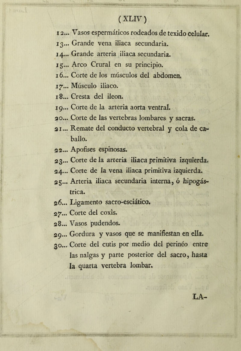 12... Vasos espermáticos rodeados de texido celular, 13... Grande vena iliaca secundaria. 14... Grande arteria iliaca secundaria. 15... Arco Crural en su principio. 16... Corte de los músculos del abdomen, 17... Músculo iliaco. 18... Cresta del ileon. 19... Corte de la arteria aorta ventral. 20... Corte de las vertebras lombares y sacras. 21... Remate del conducto vertebral y cola de ca- ballo. 22... Apofises espinosas. 23».. Corte de la arteria iliaca primitiva izquierda. 24»... Corte de la vena iliaca primitiva izquierda. 25... Arteria iliaca secundaria interna, Ó hipogás- trica. 26... Ligamento sacro-esciáticos 27... Corte del coxis. 28... Vasos pudendos. 29... Gordura y vasos que se manifiestan en ella. 30... Corte del cutis por medio del perinéo entre las nalgas y parte posterior del sacro, hasta la quarta vertebra lombar. LA-