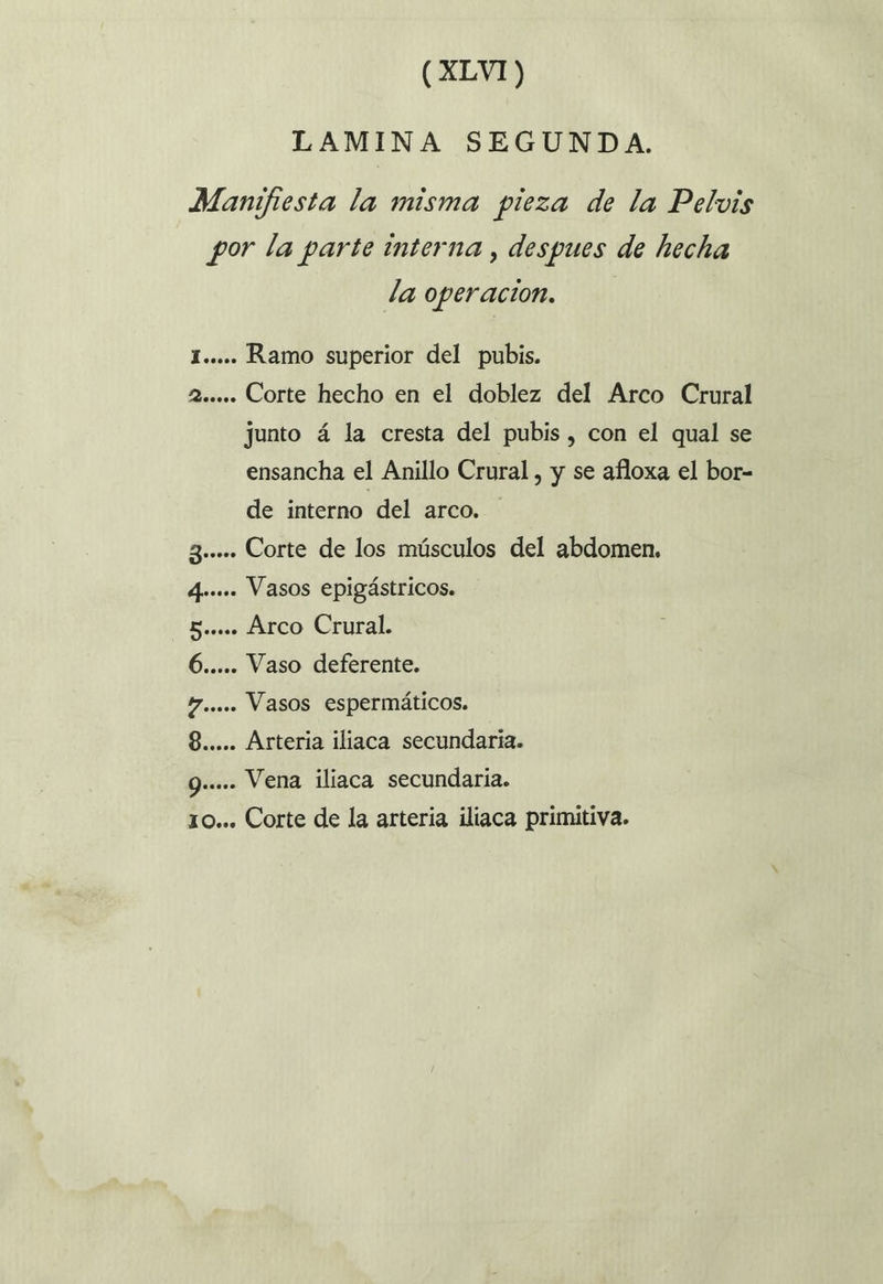 (XLVI) LAMINA SEGUNDA. Manifiesta la misma pieza de la Pelvis por la parte interna , despues de hecha la operacion. I..... Ramo superior del pubis. Zas. Corte hecho en el doblez del Arco Crural junto á la cresta del pubis, con el qual se ensancha el Anillo Crural , y se afloxa el bor- de interno del arco. 3»... Corte de los músculos del abdomen. 4»... Vasos epigástricos. 5...» Arco Crural. 6..... Vaso deferente. Zo... Vasos espermáticos. 8..... Arteria iliaca secundaria. Q.&lt;... Vena iliaca secundaria. 10... Corte de la arteria iliaca primitiva.
