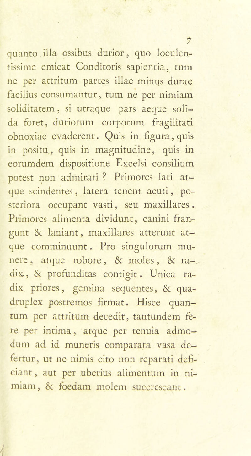 quanto illa ossibus durior, quo loculen- tissime emicat Conditoris sapientia, tum ne per attritum partes illae minus durae facilius consumantur, tum ne per nimiam soliditatem, si utraque pars aeque soli- da foret, duriorum corporum fragilitati obnoxiae evaderent. Quis in figura, quis in positu, quis in magnitudine, quis in eorumdem dispositione Excelsi consilium potest non admirari ? Primores lati at- que scindentes, latera tenent acuti, po- steriora occupant vasti, seu maxillares . Primores alimenta dividunt, canini fran- gunt & laniant, maxillares atterunt at- que comminuunt. Pro singulorum mu- nere , atque robore, & moles, & ra- dix, & profunditas contigit. Unica ra- dix priores, gemina sequentes, & qua- druplex postremos firmat. Hisce quan- tum per attritum decedit, tantundem fe- re per intima, atque per tenuia admo- dum ad id muneris comparata vasa de- fertur, ut ne nimis cito non reparati defi- ciant , aut per uberius alimentum in ni- miam, & foedam molem succrescant.