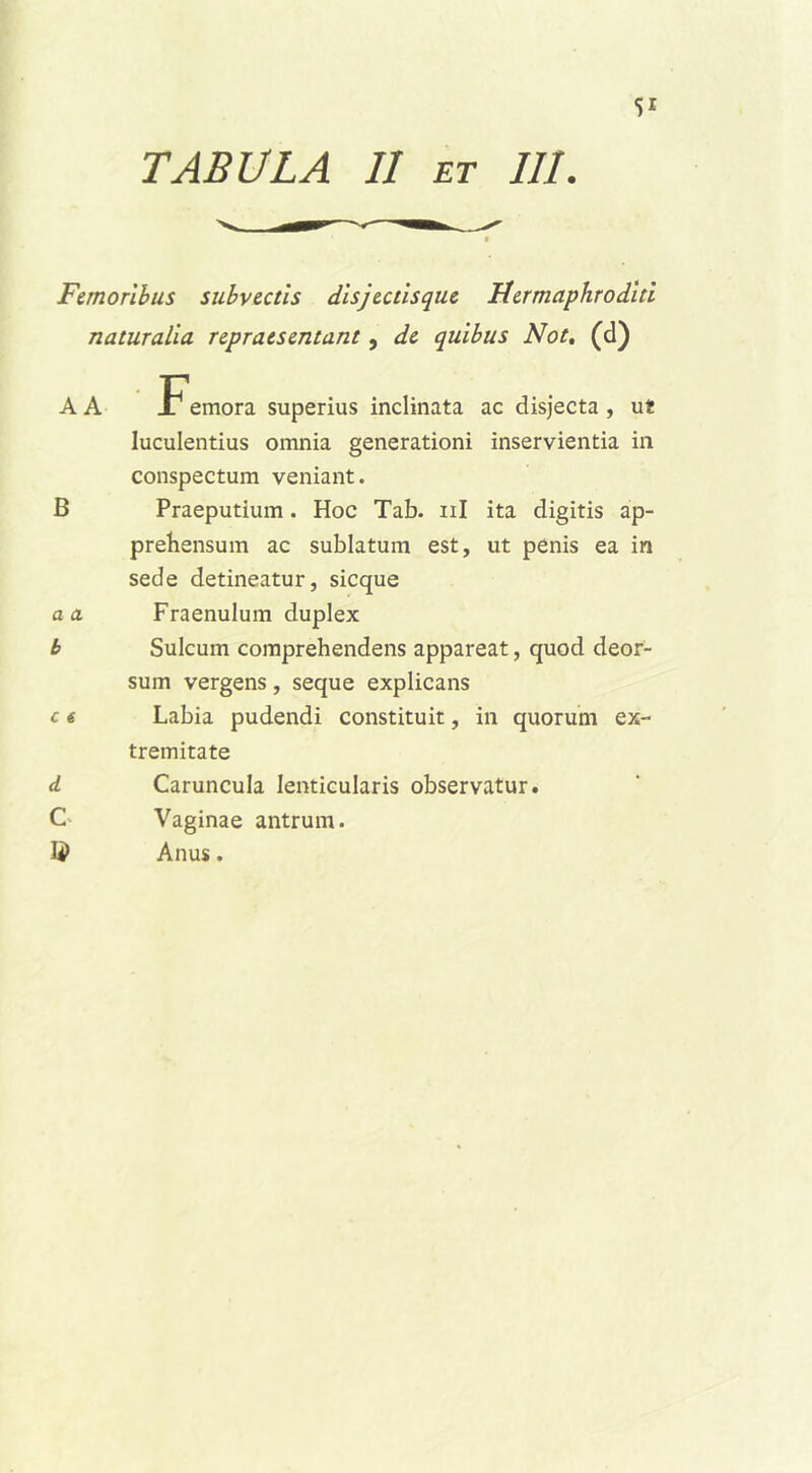 S‘ TABULA 11 et III. Femoribus subvectis disjectisque Hermaphroditi naturalia repraesentant, de quibus Not. (d) A A Femora superius inclinata ac disjecta , ut luculentius omnia generationi inservientia in conspectum veniant. B Praeputium. Hoc Tab. ni ita digitis ap- prehensum ac sublatum est, ut penis ea in sede detineatur, sicque a a Fraenulum duplex b Sulcum comprehendens appareat, quod deor- sum vergens, seque explicans c 6 Labia pudendi constituit, in quorum ex- tremitate d Caruncula lenticularis observatur. C Vaginae antrum. Anus.