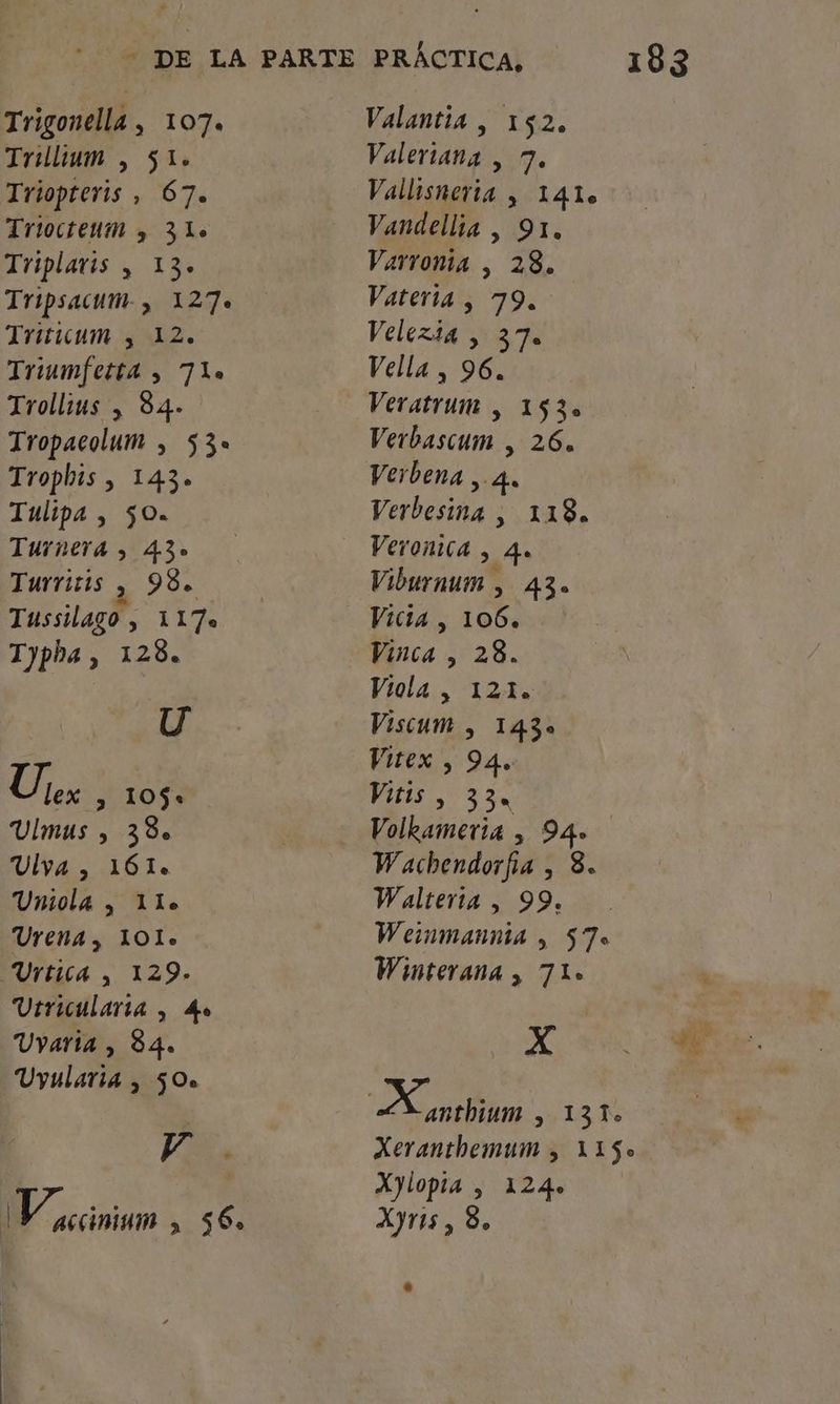 Trillium , $1. Triopteris , 67. Triocteum , 31. Triplaris , 13. Tripsacum. , 127. Triumfetta , 71lo Tropacolum , 53. Trophts , 143» Turnera , 430 Turritis y 980 Tussilago, 1170 U Us. > 1059. Ulmus , 38% Ulya , 161. Uniola , llo Urena, 101. Urtica , 129- Utricularia , 4. Uyvaria , 84. Uyulari4 , 50. VE Y accinium > 56. Valeriana , 7. Vallisneria , 141. Vandellia , 91, Varronia , 28. Vateria , 79. Vella , 96. Verbascum , 26. Verbena ,. 4, Veronica , 4. Viburnum , 43. Vicia , 106, Viola, 1212 Viscum , 1430 Vitex , 94. Vitis, 335 Volkameria , 940 Wachendorfa , 3. Walterta , 99. Wei¡nmannta , 570 Winterana , 71» XxX Xeranthemum , 1150 Xylopta , 124» Xyris, 8.
