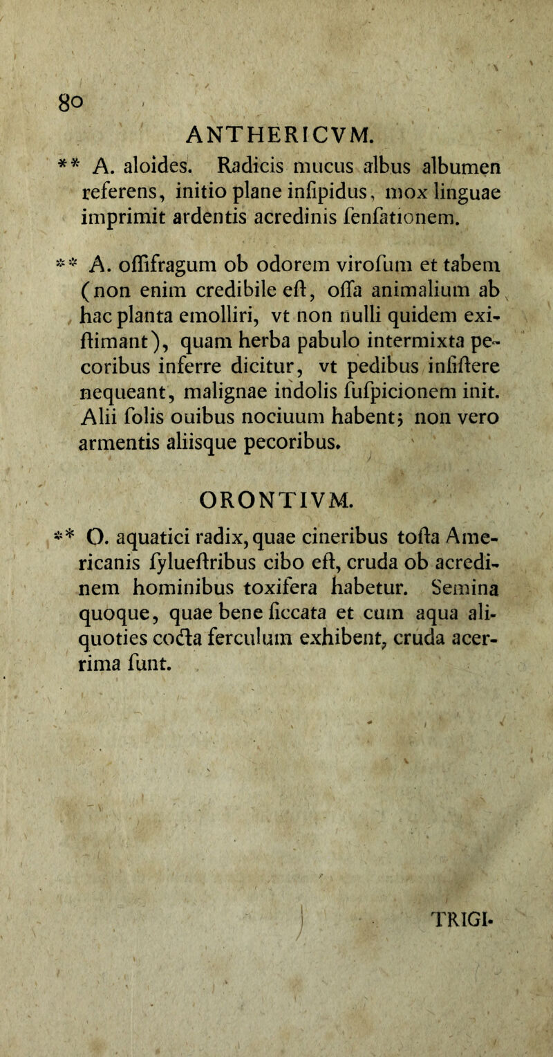 ANTHERICVM. ** A. aloides. Radicis mucus albus albumen referens, initio plane infipidus, mox linguae imprimit ardentis acredinis fenfationem. * * A. offifragum ob odorem virofum et tabem (non enim credibile eft, offa animalium ab hac planta emolliri, vt non nulli quidem exi- ftimant), quam herba pabulo intermixta pe™ coribus inferre dicitur, vt pedibus infidere nequeant , malignae indolis fufpicionem init. Alii folis ouibus nociuum habent $ non vero armentis aliisque pecoribus* ORONTIVM. ** O. aquatici radix, quae cineribus tofta Ame- ricanis fylueftribus cibo eft, cruda ob acredi- nem hominibus toxifera habetur. Semina quoque, quae bene ficcata et cum aqua ali- quoties coda ferculum exhibent, cruda acer- rima funt. TRIGI.