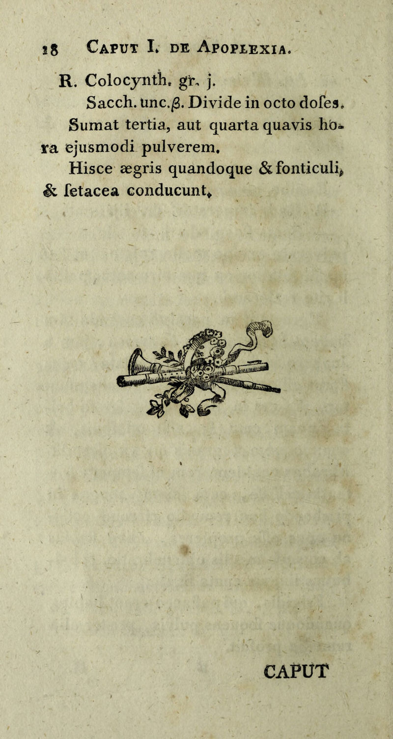 R. Colocynth, gr„ j. Sacch. tinc./3. Divide in octo dofes» Sumat tertia, aut quarta quavis ho<* ra ejusmodi pulverem. Hisce aegris quandoque & fonticuli* & fetacea conducunt* CAPUT
