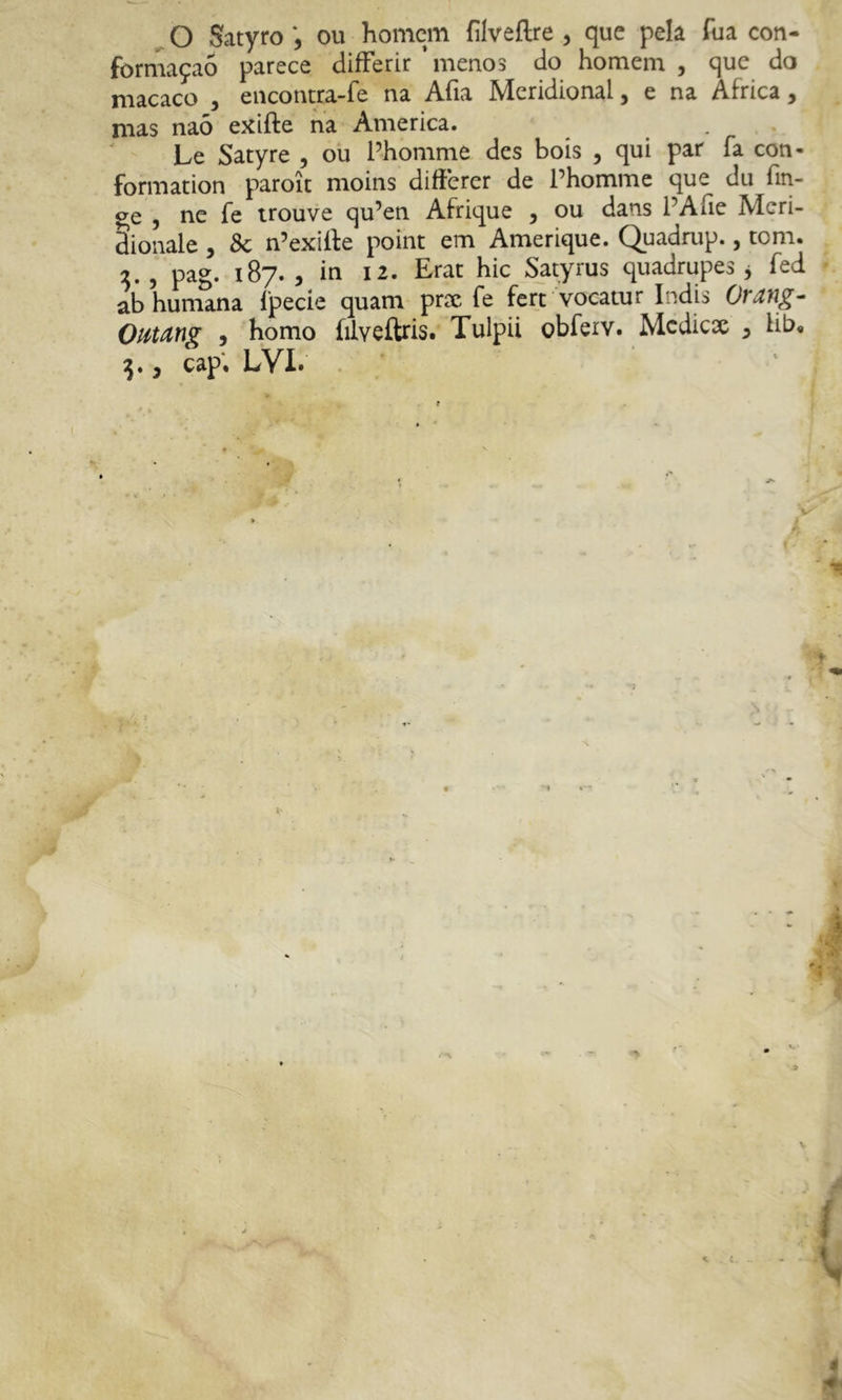 formaçaó parece differir‘menos do homem, que do macaco , encontra-fe na Afia Meridional, e na África , mas naó exifte na America. Le Satyre , ou Phomme des bois , qui par fa con- formation paroìt moins differer de Phomme que du fin- che , ne fe trouve qu’en Afrique , ou dans PAiie Meri- dionale , Se n’exiife point em Amerique. Quadrup., tcm. 2., pag. 187., in 12. Erar hic Satyrus quadrupes , fed ab humana ipecie quam prx fe fert vocatur Indis Orango Outting , homo filveftns. Tulpii obferv. Medicx , lib, 71., cap. LVI.