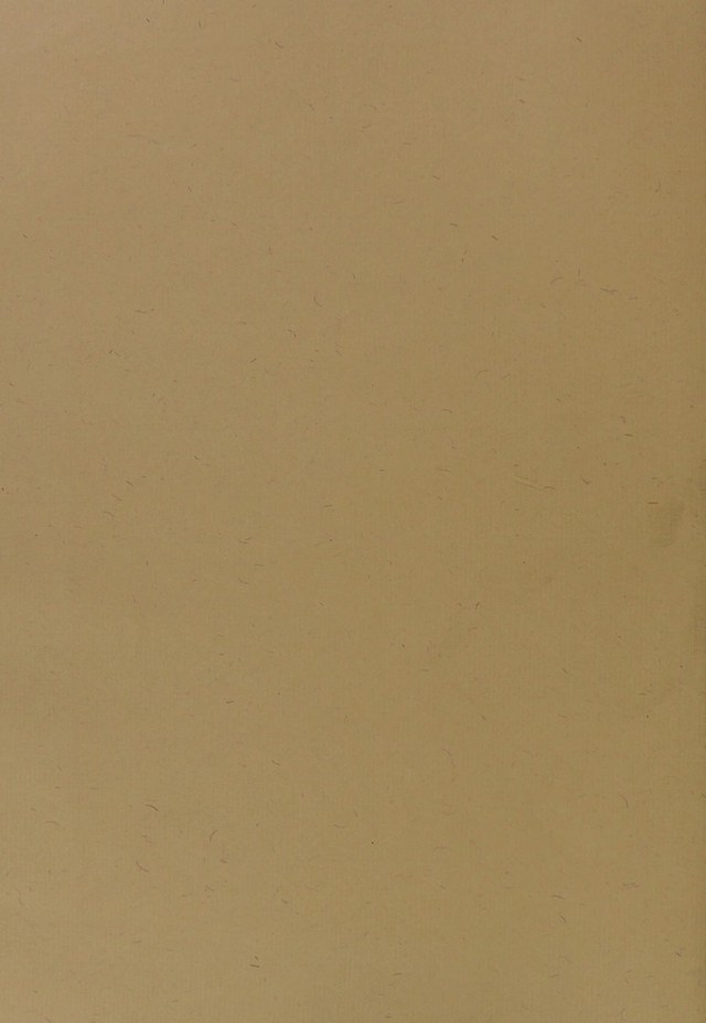 digitised image 2