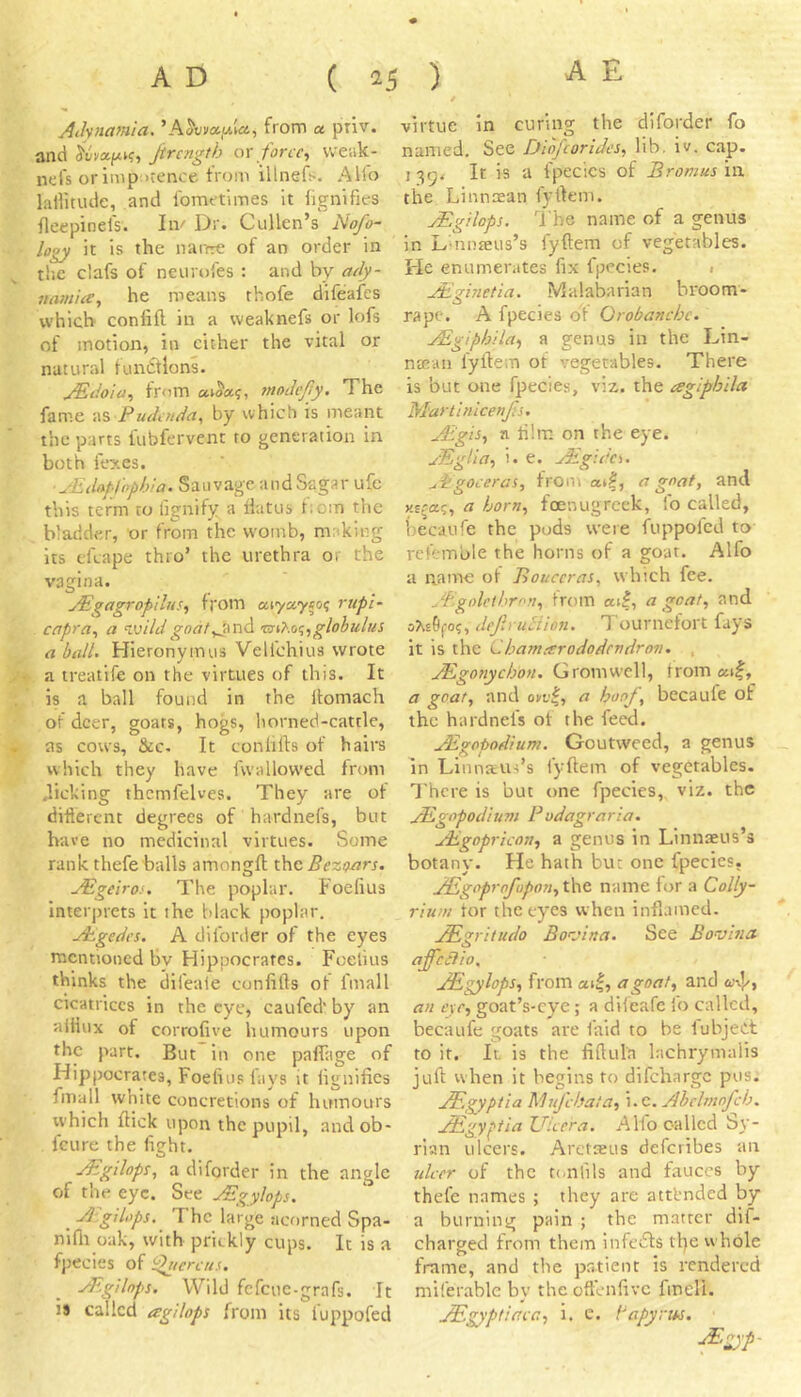 Aihnamia. from a. priv. and WyaftK, Jircngth ox forcc^ weak- nefs orimp;)ience from illnefs. Alio lailitude, and Ibmt'times It lignifies fleepinefs. Iiv Dr. Cullen’s Nofo~ logy it is the naiYre of an order in ^ the clafs of neurofes : and by ady- namia, he means thofe difeafes which conlift in a weaknefs or lofs of motion, in either the vital or natural functions. jEdoia, from modejly. The fame Pudxnda, by which is meant the parts fubfervent to generation in both fexes. ■yEdapfophla. Sauvage andSagar ufe this term to fignify a flatus fioin the bladder, or from the womb, making its tfcape thro’ the urethra or the vagina. uEgagropilus, from rupi- capra, a ^Mildgoaty^x\A 'xmXot;,globulus a balL Hieronymus Vell'chius wrote '3^. a treatife on the virtues of this. It is a ball found in the itomach of deer, goats, hogs, horned-cattle, A as cows, &c. It conlifts of hairs ^ which they have fwallowed from picking thcmfelves. They are of diftercnt degrees of hardnefs, but have no medicinal virtues. Some rank thefeballs amongfl; x.\\c Bezttars. jEgeiro!. The poplar. Foefius interprets it the black poplar. Asgedes. A diforder of the eyes mentioned Bv Hippocrates. Fcelius thinks the difeale conlifts of fmall cicatrices in the eye, caufed' by an aftiux of corrofive humours upon the part. But in one paflTage of Hippocrates, Foeliu.s fays it lignifies fmall white concretions of humours which flick upon the pupil, andob- feure the fight. jEgilops, a diforder in the angle of the eye. See jEgylops. , Atgilops. The large acorned Spa- nifli oak, with prickly cups. It is a fpecies of ‘^/ercus. Asgilnps. Wild fcfcuc-grafs. It ij called agilops from its fuppofed virtue in curing the diforder fo named. See iJiafcorides, hb. iv. cap. j 3g. It is a fpecies of Bromus in the Linnaean fyftem. jEgilops. I'he name of a genus in Lumteus’s fyftem of vegetables. Fle enumerates fix fpecies. < Aighietia. Malabarian broom- rape. A fpecies of Orobanchc. jEgiphila^ a genus in the Lin- natan fyftem of vegetables. There is but one fpecies, viz. the agiphila M'artinicenfis. ^gis, a film on the eye. JEglia, i. e. jEg:dc\. ^itgoceras, from ai|, a gnat, and a born, foenugreek, fo called, becaufe the pods were fuppolcd to refemble the horns of a goat. Alfo a name of Bouccras, which fee. ^Egolcthrnn, from ai|, a goat, and defiruHion. Tournefort fays it is the Chamarododendrov. , JEgofiychon. Grom well, from at|, a goat, and oyi'|, a hoof, becaule of the hardnefs of the feed. JEgopodium. Goutweed, a genus in Linnaus’s fyftem of vegetables. There is but one fpecies, viz. the jEgopodium Bodagraria. jEgopricon, a genus in Linnaeus’s botany. He hath but one fpecies, JEgiprofopon, the name for a Colly- riuui tor the eyes when infi.imcd. ^gtritudo Bo'vina. See Bovhia affcciio, JEgylops, from ai|, a goat, and cwi]/, an exc, goat’s-cye; a difeafe lb called, becaule goats are laid to be lubject to it. It is the fiftula lachrymalis juft when it begins to difeharge pus. JF.gyptia Mufehata, i.e. Abelmojch. .AEgyptia JJiccra. Alio called Sy- rian ulcers. Aretteus deferibes an ulcer of the tc.nfils and fauces by thefe names ; they are attended by a burning pain ; the matter dif- charged from them infcbls tl)e whole frame, and the patient is rendered miferablc by the oft'enfive fmell. jEgyptiacc, i. e. Papyrus.