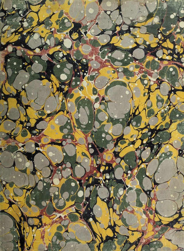 No text description is available for this image