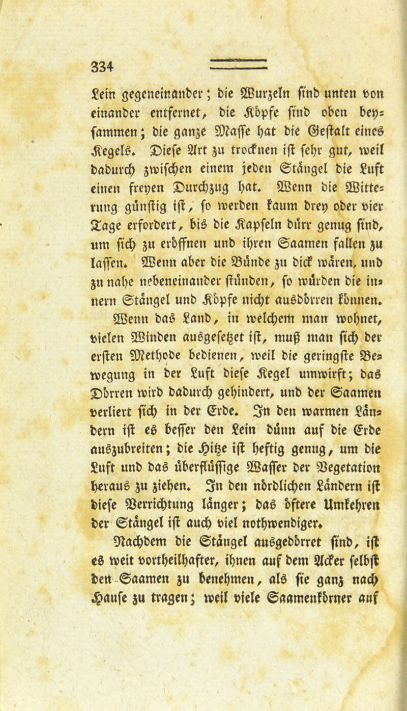 Sein öegcncittönbei’; bic SBurjcIn ftnb unten non cinanber entfernet/ bic ^bpfe finb oben be^s fantmen; bie gan^e S!}?a(fc bic ©cjtalt eineö ^egclg* J5tefe 2(rt ju trocfnen j(l febr gut/ weil babuvdb jwifdbcn einem jeben ©tdngel bic Suft einen freien SJurdjjug bat. 2Benn bie SBittes tung gunflig ifi/ fo merben faum bre^ ober »icr Jlage erforbert/ bi§ bie ^apfeln bikr genug ftnb/ um ftdb 5u erbffnen unb tbren ©aamen falten ju laflfcn. SBenn aber bie S3unbc 311 bief mdren, unb junabc nebeneinanber flunben/ fo miSrben bie ina nern ©tdngel unb .Rbpfc nicht auöbbrren rönnen, 2Bcnn baß Sanb, in mclcbcm man mobnet/ »tclen SBinben auögefehet ifl/ mufi man ftdb erfben 9)?ctbobc bebienen, meil bic geringfbe S8ea wegung in ber Suft biefc ^egcl ummirft; baß T)brrcn mivb baburdb gebinbert/ unb ber ©aamcit »erlieft ftdb in ber (5rbe. 3« ben warmen Sans bern tjb eß beffer ben Sein bunn auf bic (5rbc ftußäubreiten; bic i(l btftig genug, um bie Suft unb baß überflufftge 5Bajfer ber 55egctatiott berauß ju sieben, 3n ben nbrblicben Sdnbern i(l biefc 53crridbtung langer; baß bfterc Umfebren ber ©tdngel ijl auch »iel notbwenbiger* 9ladbbcm bic ©tdngcl öußgebbrret ftnb/ ijl; eß weit »ortbeilbaftcf/ ihnen auf bem Slcfcr felbfl ben. ©aamen ju benebntcit/ olß ftc gans nadb J^aufc ju tragen; weil »ielc ©aamenfbrner auf