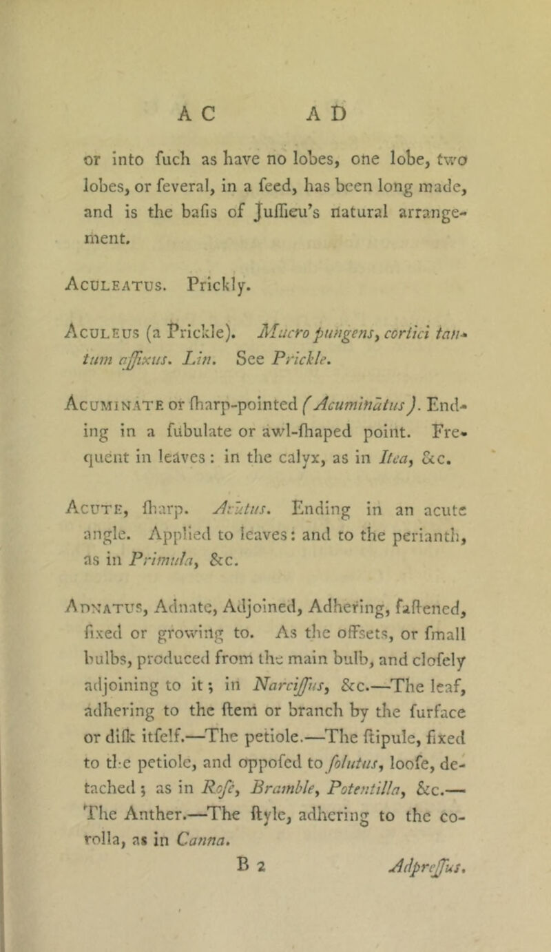 or into fuch as have no lohes, one lobe, two lobes, or feveral, in a feed, has been long made, and is the bafis of Juflieu’s natural arrange- ment. Aculeatus. Prickly. Aculeus (a Prickle). Mucropttngens> coriici tan* turn ajfixus. Lin. See Prichle. Acuminate or fharp-pomted (Acuminatus). End- ing in a fiibulate or awl-fhaped point. Fre- quent in leaves: in the calyx, as in Ilea, Sec. Acute, {harp. Avutus. Ending in an acute angle. Applied to leaves: and to the perianth, as in Primula^ See. Adnatus, Adnate, Adjoined, Adhering, fattened, fixed or growing to. As the offsets, or fmall bulbs, produced from the main bulb, and clofely adjoining to it; in Narcijfus, Scc.—The leaf, adhering to the Item or branch by the furface or diflc itfelf.—The petiole.—The ftipule, fixed to the petiole, and oppofed to folutus, loofe, de- tached ; as in Rofc, Bramble, Potent ilia, Sic.— The Anther.—The ftyle, adhering to the co- rolla, as in Canna, AdprcJJus.