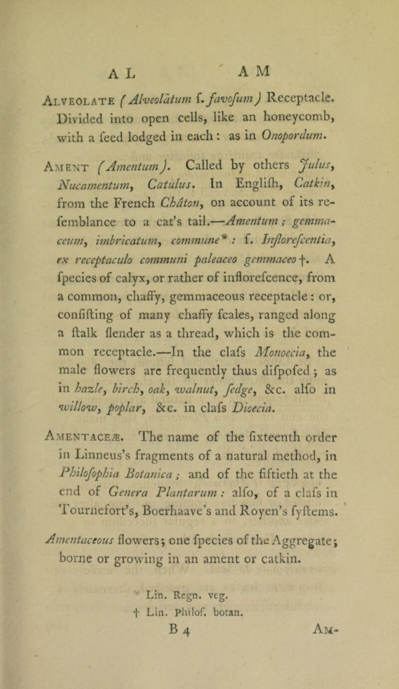 Alveolate (Alveolatum f. favofum) Receptacle. Divided into open cells, like an honeycomb, with a feed lodged in each: as in Onopordum. Ament (Amentum). Called by others Julus, Nucamentum, Catulus. In Englifh, Catkin, from the French Chaton, on account of its re- femblance to a cat’s tail.—Amentum; gemma- ceum, imbricatum, commune* : f. Injlorefcentia, ex receptaculo communi paleaceo gemmaceo f. A fpecies of calyx, or rather of inflorefcence, from a common, chaffy, gemmaceous receptacle : or, confiding of many chaffy feales, ranged along a dalk flender as a thread, which is the com- mon receptacle.—In the clafs Monoecia, the male flowers are frequently thus difpofed ; as in hazle, birch, oak, walnut, jedge, &c. alfo in willow, poplar, &c. in clafs Dioecia. Amentace^. The name of the fixteenth order in Linneus’s fragments of a natural method, in Philofophia Botanica; and of the fiftieth at the end of Genera Plantarum : alfo, of a clafs in Tournefort’s, Boerhaaves and Royen’s fydems. Amentaceous flowers*, one fpecies of the Aggregate; borne or growing in an ament or catkin. Lin. Regn. vcg. + Lin. Philof. botan. b4 Am