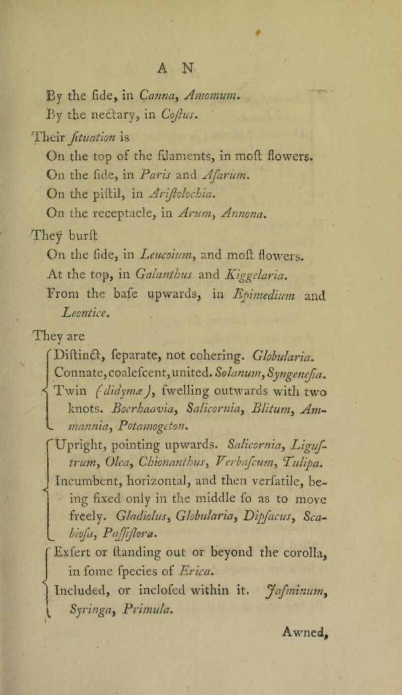 ♦ By the fide, in Cantia, Amomurn. By the nectary, in Cojhis. Their fit nation is On the top of the filaments, in mod flowers. On the fide, in Paris and Afarum. On the pi ft il, in Arijlolochia. On the receptacle, in Arum, Antiona. They burft On the fide, in Leucoiu.m, and mod flowers. At the top, in Galantbus and Kiggclaria. From the bafe upwards, in Rpimedium and Leontice. They are Diftinft, feparate, not cohering. Globularia. Connate, coalefcent, united. Solatium, Syngemfui. Twin f didynueJ, fwelling outwards with two knots. Bocrhaaviay Salicornia, Blitum, Am- mannia, Pctamogcton. Upright, pointing upwards. Salicornia, Liguf- t runty Olca, ChionanthuSy Verbafcumy Pul ip a. Incumbent, horizontal, and then verfatile, be- ing fixed only in the middle fo as to move freely. Gladiolus, Globularia, DipfacuSy Sea- _ biofa, Pajpjlora. Exfert or Handing out or beyond the corolla, in fome fpecies of Erica. Included, or inclofcd within it. Jafminuniy Syria gay Primula. Awned,