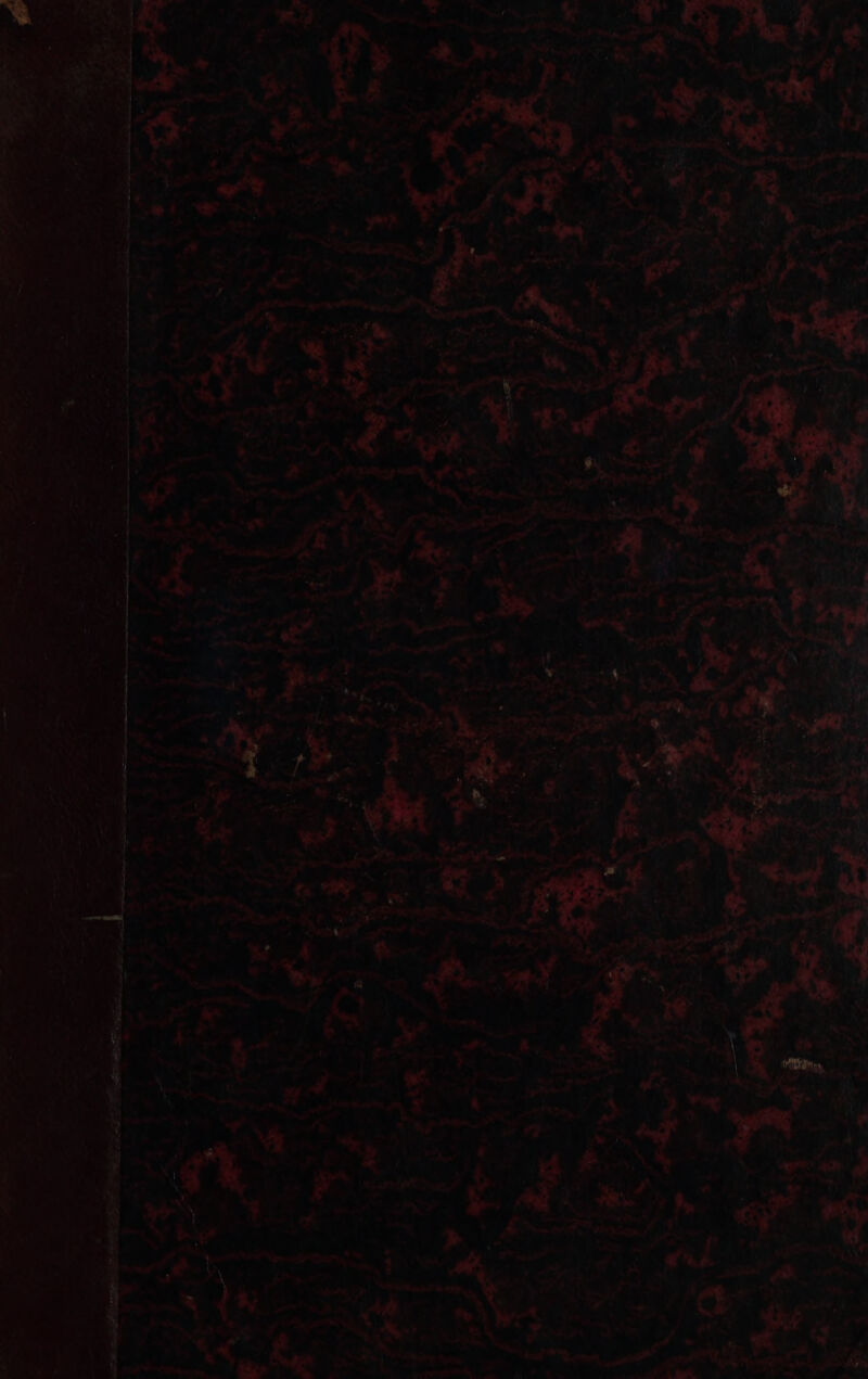 dt Pn a 7 2 AS ? pp AZ de “ mr \ ) d Hay heg gi 1 ; 4 Mébsestr ho à 1. AU paite 4 Lx r AU PR mi à Tir A