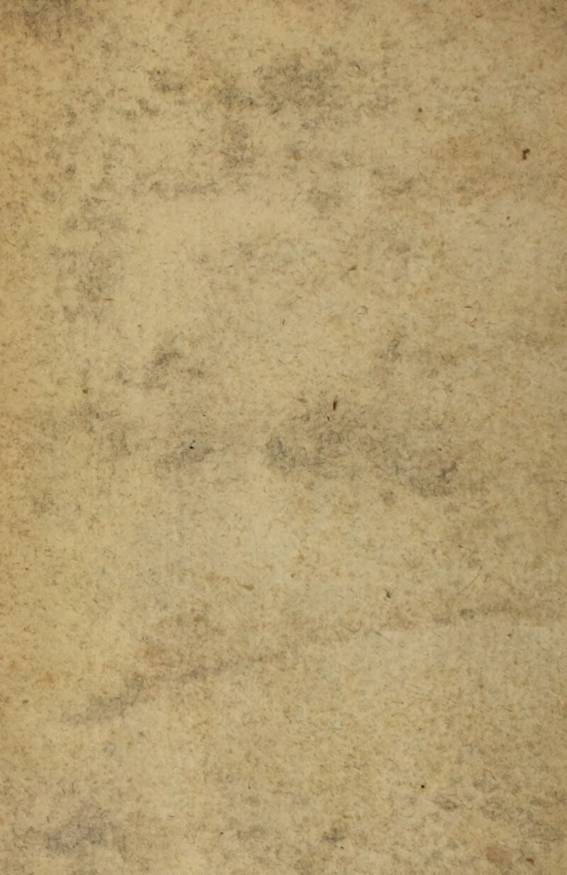 ^ ^ ■ •• » -s ■ » ' .'v - ■ , ; U • ' ^ . . r »i' -Z ’.' . •- _ ^ .■ - ••**>* -V. V- ^ ’ ,M. V.v^ ■ • f. ' <L.t.-' <f-.' . • .%< •'. . “f .->. ■*' ' <:>•.■ «'■■ - , '^^,-.*> .*,>V? \ .■.' A ■■■■' . Jtt * -,■ '• V*'** .- ■ . ■k. x* , (. . . MS^. '.* . Y-': «sY’ ,' •' ■ ♦r* . ' v, <4- ''- ■ -v. ^ - / yJV' • « * .■ A • .1 , !. , ,, ' ^ r ' ° -r ■ A’' ' i«1'^ >■ -'^ • ♦r'.— • - • P^‘ * VH. ; -, - -f. .. , if ,-j. ^ ■ ' ■' '■ •''■ *;■ ■ t .-/■ 'MSfc'^ V ’ ■ :*' Y > .'. •■ ■'■ n-v ’- • ■■ »* ^' ' / ■ •'■''* ^ * .- , : É. • ‘ ■ .' ■ ì ' ' ' X « ■ ^ ^ Y-'T ' • ^ ' ^.T, ^ ‘ f •*' f - _, 4, r‘ * .' y.' >. ..^V* ,V-'-vfe- x-V . •r 'j- X. . - ’ , ' /■' •■ ■’'» ;: .• »-'.i • ' •.' ,’. ■■ 5’A '. \ 'f i.t.\ . ,■ : : . v,A- • jt ' ■ ’'' ^Av, .-v- Y . .'. /I ^ ■ W' > « -• -P ^ (l-^ ■' -V > Mi* ’ v'y^ ; .^■ Y. ■ ■ T <«• '* > ••>