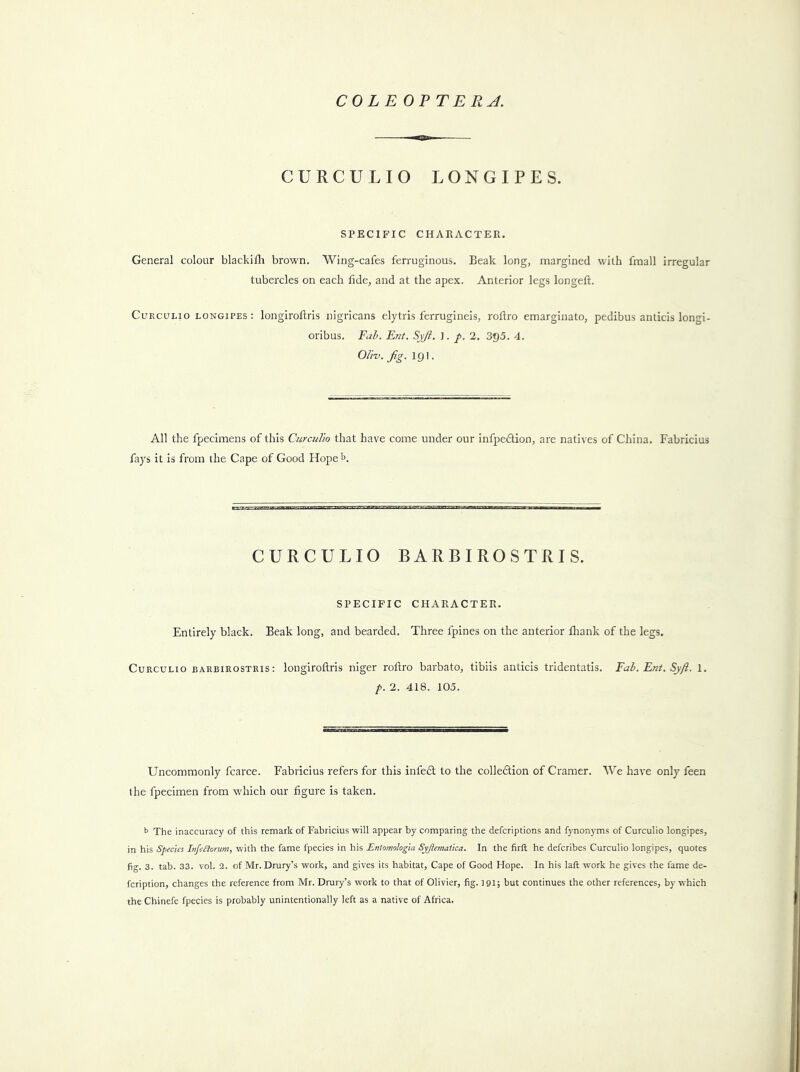 CURCULIO LONGIPES. SPECIFIC CHARACTER. General colour blackiflr brown. Wing-cafes ferruginous. Beak long, margined with fraall irregular tubercles on each tide, and at the apex. Anterior legs longeft. CUKCULIO LONGIPES : loiigiroftris nigricans elytris ferrugineis, roftro emarginato, pedibus anticis longi- oribus. Fah. Ent. Syjl. ]. /. 2. 3^5. 4. Oli-v. fig. igl. All the fpecimens of this CurcuVio that have come under our infpedion, are natives of China. Fabricius fays it is from the Cape of Good Hope'>. CURCULIO BARBIROSTRIS. SPECIFIC CHARACTER. Entirely black. Beak long, and bearded. Three fpines on the anterior fliank of the legs. CuRCULio BARBIROSTRIS: loiigiroftris niger roftro barbato, tibiis anticis tridentatis. Fab. Ent. Syfi. 1. />. 2. 418. 105. Uncommonly fcarce. Fabricius refers for this infedf to the colledlion of Cramer. We have only feen the fpecimen from which our figure is taken. t> The inaccuracy of this remark of Fabricius will appear by comparing the defcriptions and fynonyms of Curculio longipes, in his Species ItifeCiorum, with the fame fpecies in his Eniomologia Syjlemalica. In the firft he defcribes Curculio longipes, quotes fig. 3. tab. 33. vol. 2. of Mr. Drury’s work, and gives its habitat. Cape of Good Hope. In his laft work he gives the fame de- fcription, changes the reference from Mr. Dmry’s work to that of Olivier, fig. igi; but continues the other references, by which the Chinefe fpecies is probably unintentionally left as a native of Africa.
