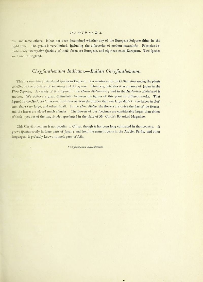 ren, and lome others. It has not been determined whether any of the European Fulgorae lliine in the night time. The genus is very limited, mcluding the difcoveries of modern naturalifts. Fabricius de- fcribcs only twenty-live fpeciesj of thefe, feven are European, and eighteen extra-European. Two fpecies are found in England. Cliryfantliemuni Imlicum.—Indian Chryfanthemiim. This is a very lately introduced fpecies in England. It is mentioned by SirG. Staunton among the plants colledled in the provinces of S/ian-tung and Kiang-nan. Thunberg defcribes it as a native of Japan in the Flora Ja^nica, A variety of it is figured in the Hortus Malaharicus; and in the Herharium Amho'tnenfe is another. AVe obferve a great dillimilarity between the figures of this plant in different works. That figured in theHcrl. Amb. has very fmall flowers, fcarcely broader than our large daify ^: the leaves in cluf- ters, fome very large, and others fmall. In the Hort. MaJab. the flowers are twice the fize of the former, and the leaves are placed much afunder. The flowers of our fpecimen are confiderably larger than either of chefej yet not of the magnitude reprefented in the plate of Mr. Curtis’s Botanical Magazine. This Chr^'fanthemum is not peculiar to China, though it has been long cultivated in that country. It grows fpontaneoufly in fome parts of Japan j and from the name it bears in the Arabic, Perfic, and other languages, is probably known in mofi parts of Alia. 1 Cliryjanihemum Leucatithemum,