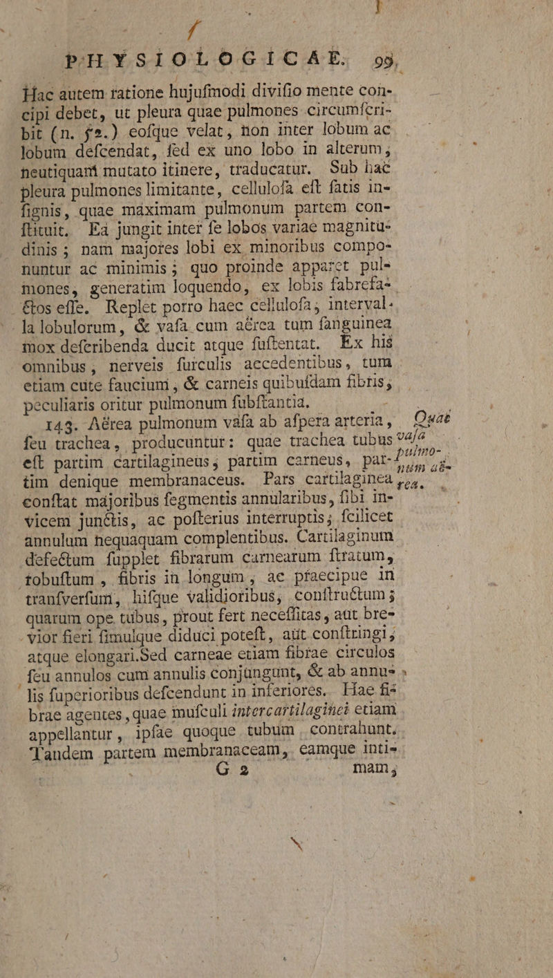 f Hac autem ratione hujufmodi divifio mente con- cipi debet, ut pleura quae pulmones circumferi- bit (n. £5.) eofqjue velat, non inter lobum ac lobum defcendat, ied ex uno lobo in alterum; neutiquani mutato itinere, traducatur. Sub hac pleura pulmones limitante, cellulofa eft fatis 1n- fignis, quae máximam pulmonum partem con- [ütuit, Ea jungit inter fe lobos variae magnitu- dinis ; nam majores lobi ex minoribus compo- nuntur ac minimis; quo proinde apparct pul- &amp; fos effe. Replet porro haec celiulofa, interyal. la lobulorum, &amp; vafa cum a&amp;rea tum fanguinea mox deferibenda ducit atque fuftentat. Ex his etiam cute fauciuni , &amp; carneis quibufdam fibtis; peculiaris oritur pulmonum fubftantia. 2 I 143. Aérea pulmonum vafa ab afpera arteria, Ouae eft partim cartilagineüs, partim carneus, pa tim denique membranaceus. Pars cartilaginea conftat majoribus fegmentis annularibus, fibi in- vicem jun&amp;tis, ac pofterius interruptis; fcilicet annulum nequaquam complentibus. Cartilaginum nut a&amp;- fé4. fobuftum , fibris in longum , ae pfaecipue in tranfverfum, hifgue validioribus, conftru&amp;tum j quarum ope. tubus , prout fert neceffitas , att bre- . vior fieri fimulque diduci poteft, at conftringi atque elongari.Sed carneae etiam fibrae circulos feu annulos cum annulis conjüngunt, &amp; ab annus lis fuperioribus defcendunt in inferiores, Hae fis brae agentes , quae imufculi intercartilaginei etiam / d landem partem membranaceam, eamque intl»