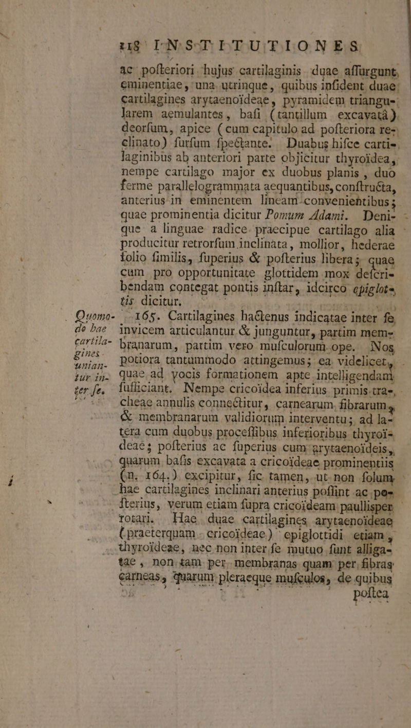 up DNSTITUTIONES 4c polleriori. hujus cartilaginis duae affürgunt, eminentiae , una. utrinque , quibus infident duae: cartillagines arytaenojdeae, pyramidem triangus: larem aemulantes, bafi (tanüllum excavatà). deorfum, apice (cum capitulo ad. pofteriora re-: clinato) furfum fpeétante. Duabus hifce cartis. laginibus ab anteriori parte objicitur thyroidea,: nempe cartilago major ex duobus planis , duo ferme parallelogrammata aequantibus, conftruéta, anterius im eminentem lincam-conveniehtibus ; quae prominentia dicitur Pomum Adami. Deni- que a linguae radice. praecipue cartilago alia : producitur retrorfüm inclinata, mollior, hederae tolio fimilis, fuperius &amp; pofterius libera; quae cum pro opportunitate glottidem mox delori- bendam contegat pontis inflar, idcirco epiglote, tis dicitur. -] | esu aí ol . Quomo- 165. Cartilagines hactenus indicatae inter fe, de bae invicem articulantur &amp; junguntur, partim meme - czr!//4- byanarum, partim vero mufculorum.ope. Nos Ae poüora tantammodo attingemus; ea. videlicet, iur ij. Qua? ad vocis formationem apte intelligendani PwrWors: | quarum bafis excayata a cricoideae prominentiis (n. 164.). excipitur, fic tamen, ut-non folum. - hae carülagines inclinari anterius poflint ac.pes ^ fterius, verum etiam füpra cricoideam paullisper - rota. Hae. duae cartilagines arytaenoideae (praeterquam - ericoideae) ^epiglottidi etiam , .hyroideae, mec non intere mutuo funt alliga- tàe, non iam per. membranas quam: per, fibras carneas, quaruur pleraeque mufeulos, de quibus : jo iid Kx poftea enu: