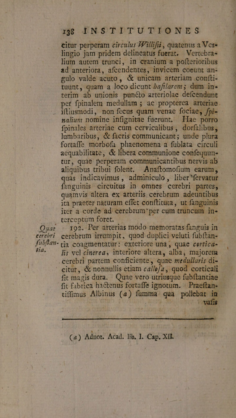 Quae -eerebri fubftan- üia. rj INSTITUTIONES citur perperam circulus 7F'illifii , quatenus a Ves. lingio jam pridem delineatus fuerat. —Vertebra- lium autem trunci, in cranium a pofterioribus ad anteriora, afcendentes, invicem coeunt an- gulo valde acuto, &amp; unicam arteriam confti- tuunt, quam a loco dicunt Daftlarem ; dum in- terim ab unionis puncto arteriolae defcendunt pef fpinalem medullam ; ac propterea arteriae. ifliusmodi, non ftcus quam venae fociae, fpi- nalium nomine infignitae fuerunt, Hae porro fpinales arteriae cum cervicalibus , dorfalibus, lumbaribus, &amp; facris communicant; unde plura fortaffe morbofa phaenomena a fublata circuli aequabilitate, &amp; libera communione confequun- tur, quae perperam eommunicantibus nervis ab aliquibus tribui folent. .Anaftomofium earum, quas indicavimus , adminiculo, liber fervatur fanguinis circuitus in omnes cerebri partes, quamvis altera ex arteriis cerebrum adeuntibus ita praeter naturam effet conftituta, ut fanguinis iter a corde ad cerebrum per eum truncum in- terceptum foret. | F 195. Per arterias modo memoratas fanguis in cerebrum irrumpit, quod duplici veluti fubftan- tia coagmentatur: exteriore una , quae certica- lis vel cinerea, interiore altera, alba, majorem citur, &amp; nonnullis etiam ca//e/a, quod corticali fit magis dura. Quae vero utriusque fubítantiae fit fabrica hactenus fortaffe ignotum. : Praeftan- tiffimus Albinus (4) fumma. qua re