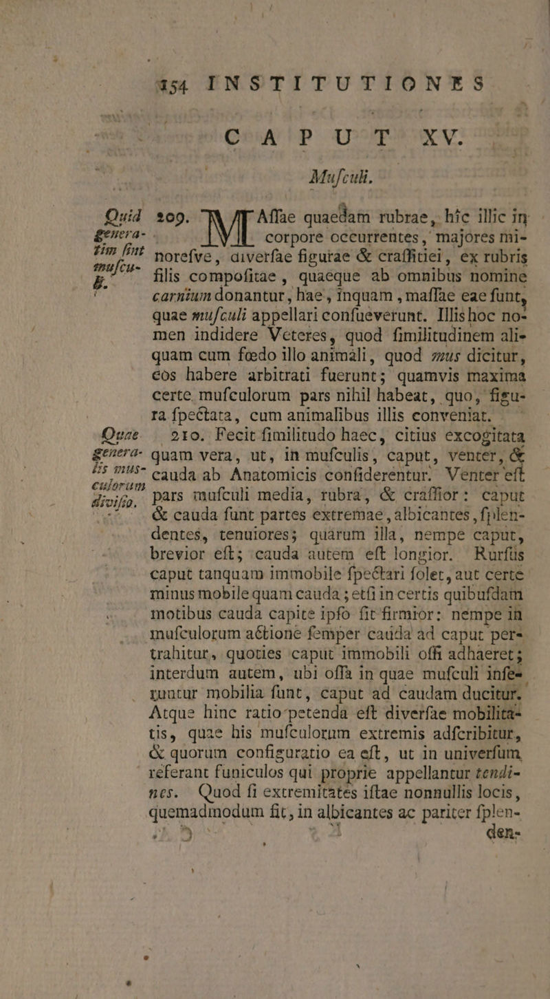 Quid Lm [int emufcu- . ; Quae genera- Es mus- Dew Pp QDXPMUICV. | Mufcuk. *09. M quaedam rubrae, hic illic in | corpore occurrentes, majores mi- norefve, diverfae figurae &amp; craffitiei, ex rubris filis compofitae , quaeque ab omnibus nomine carnium donantur , hae , inquam , maffae eae funt, quae wmu/culi appellari confüeverunt. Illishoc no- men indidere Veteres, quod fimilitudinem ali- quam cum foedo illo animáàli, quod zzus dicitur, eos habere arbitrati fucrunt ; quamvis maxima certe mufculorum pars nihil habeat, quo, figu- rà fpectata, cum animalibus illis conveniat. 210. Fecit fimilitudo haec, citius excogitata quam vera, ut, in mufeulis ,. caput, venter, &amp; cauda ab Anatomicis confiderentur. Venter eft pars mufculi media, rubra, &amp; craffior: caput &amp; cauda funt partes extremae , albicantes , fpilen- dentes, tenuiores; quarum illa, nempe caput, brevior eft; cauda autem eft longior. Rurfüs caput tanquam immobile fpe&amp;tari folet, aut certe. minus mobile quam cauda ; etfi in certis quibufdam motibus cauda capite ipfo fit firmior: nempe in iufculorum a6tione femper cauda ad caput per* trahitur, quoties caput immobili offi adhaeret; interdum autem, ubi offà in quae mufculi. infes ruutur mobilia funt, caput ad caudam ducitur. Atque hinc ratio: petenda eft diverfae mobilita- tis, quae his mufculornm extremis adfcribitur, &amp; quorum confisuratio ea eft, ut in univerfum referant funiculos qui. proprie appellantur tendi- nes. Quod fi extremitates iftae nonnullis locis, qusmanon ut fic, in | albicantes ac pariter pm ^ : en- *