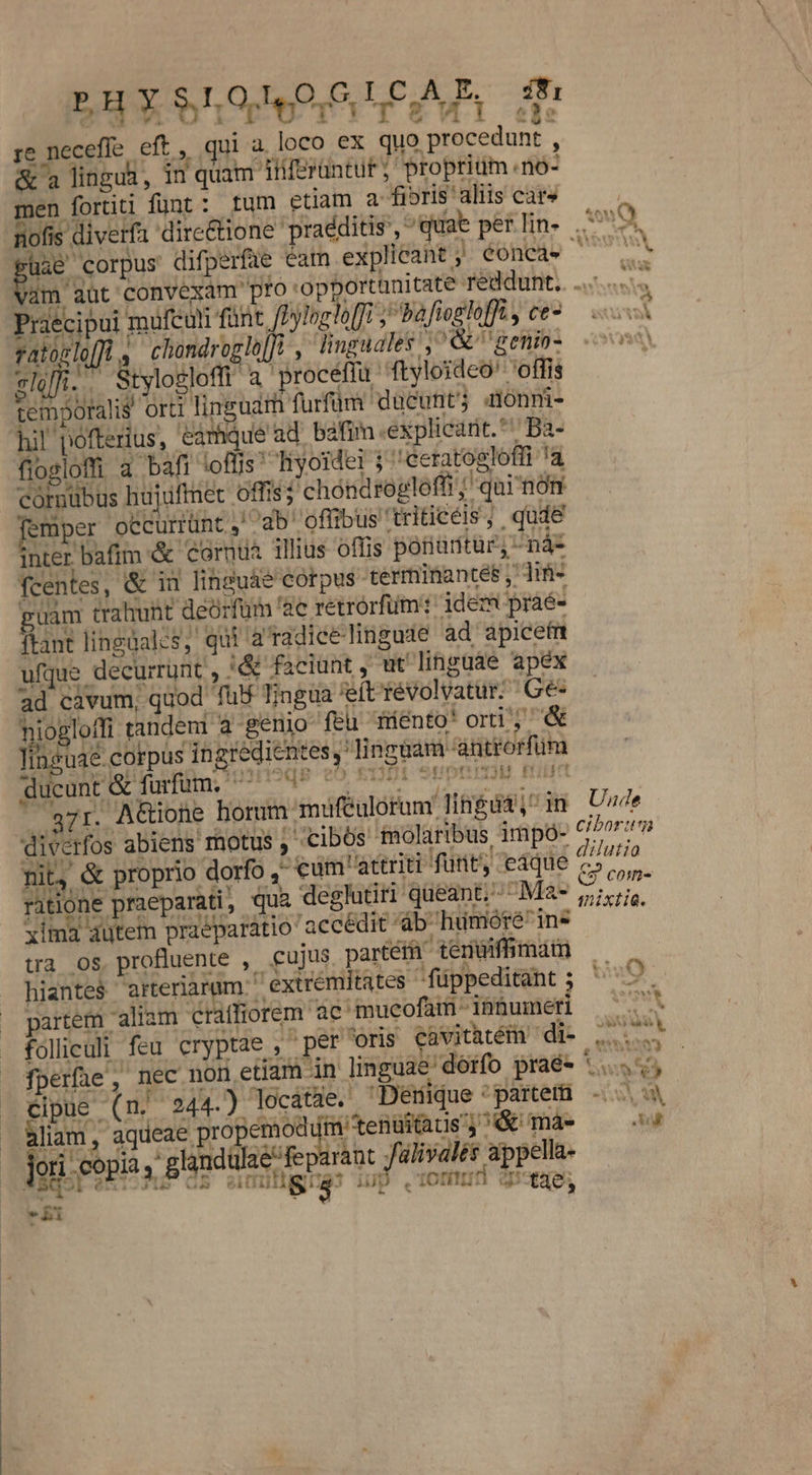 re neceffe eft , ui a loco ex quo procedunt , &amp; a lingua, 1n quam itif&amp;rüntur ; proprium no- men fortiti fünt: tum etiam a fibris aliis cat» nofis diverfa dire&amp;ione praeditis, equae perline 77 9. ERE difperfae eam explicant ; éóncde ^ vam aut convexam' pro opportunitate reddunt. ..... sva Praecipui muftuti fünt. /Dyloglo[fi ,bafieelefft, ce*— i vatósloffl | chandroglo]]l , lnguales , &amp; 'genin- ele i.. Stylogloffi a procéffu ftyloideo' 'offis temporalis orti lii guarh furfüm ducunt; Aonni- hil pofterius, eamque ad bafim .explicart.*' Ba- fiosloffi a. bafi ipfis liyoidei 3 'ceratogloffi 'a córnübus hujuftnet offis; chóndroploffi ;' qui nón emper occurrünt , ^qb'offibus triticéis, qude inter bafim &amp; cornua ilius offis ponaritur, -nà- fcentes, &amp; in lingue corpus terminantes , liti guam trahunt deorfum '2e retrorfüm: dem praé- itant lingdales, qui a tadicelingude ad apicetm ufque decurrunt , i&amp; faciunt, ut linguae apex ad cavum, quod fus Tingua 'eít :évolvatur;. ^ Gé- niogloffi tandem à -genio-feü Trento' orti; Yinguae. corpus in gredientes, 'Jingaam-antrorfüm ducunt &amp; furfum. ^ ISqp e^ £111 supnimi mid — g7r. A&amp;ione horum muféulorum lingua, in Ue diverfos abiens 'rhotus , cibos fnolaribus impó- ^ pori nit, &amp; proprio dorfo , €um attriti funty eique Esas ritone praeparati, qua deglutiri queant; ^^ Ma» jjisig, xima autem praeparátio accédit db humóré'ins wa os. profluente , cujus partéi] tenuiffhmam — hiante$ arteriarum extrémitates füppeditant uuo partem aliam craffiorem ae (mueofam innumeri ^^. foliculi feu cryptae ,- per oris cavithtém di»... fperfüe, nec non etiam in linguae'dórfo praé- 5... 7, eipue (m. 244-) locátae. Denique ^parter - &amp;liam, aqueae propemoddm'tenuians e máe — 5 jori copia ; glandülae/feparant fülisalés appella- P enioTuP GB enmUHDe IUD o. iOtíii Qpoees