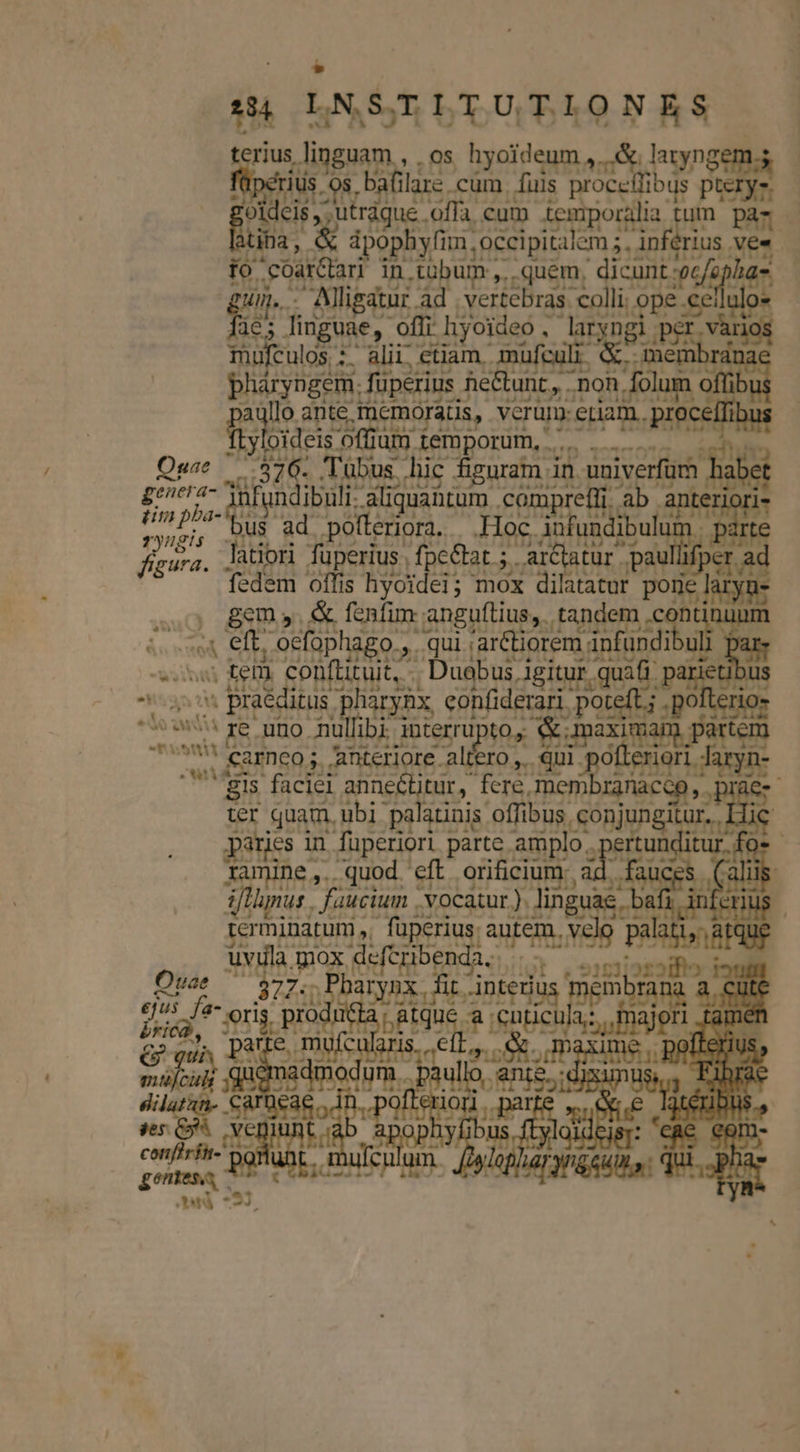 » 2 LNS.TITUTIONES v [gw ^ rius linguam , . os hyoideum latyng pea bafilare .cüm fuis SN i oldeis utrdque offa, cum temporalia tum d ha, &amp; boosts occipitalem ; e lérios zm n. .soardari in. tübum. quem, dicunt en ... AMligatur ad | vertebras colli; ope. eellulo- e linguae, offi. hyoideo , Jaryngi es dus Thufculos : i. alii. etiam, muft pháryngem. füperius. he&amp;unt, - non Volum. b a AG ante , Inemorais, verüm- euam. proce ft loideis offiut temporum, - .,:326. Tubus. hic figuram. in. univerfürh. bel generan fun ibuli. aliquaütum compreffi. apisun demi is KC ERU, ^ Hoc. A fundibulu atiori fuperius | fpc&amp;tat ; arc(atur pau E fedem offis byoidei; mox purto S ,, 8m &amp; fenfim anguítius,. ta 3ü jose fb. ocfophago.,. - qui pua ru undibuli ; tem conftituit, - Duobus, igitur quafi parietibus ;» praeditus. pharynx, confiderari. SEES pot ello audi re uno. S DER op t0, CES am partein ni SET ES T Ouae — RES Par a oris. pro e pate mufi gis sula ise L rn^ LE fcu Xr