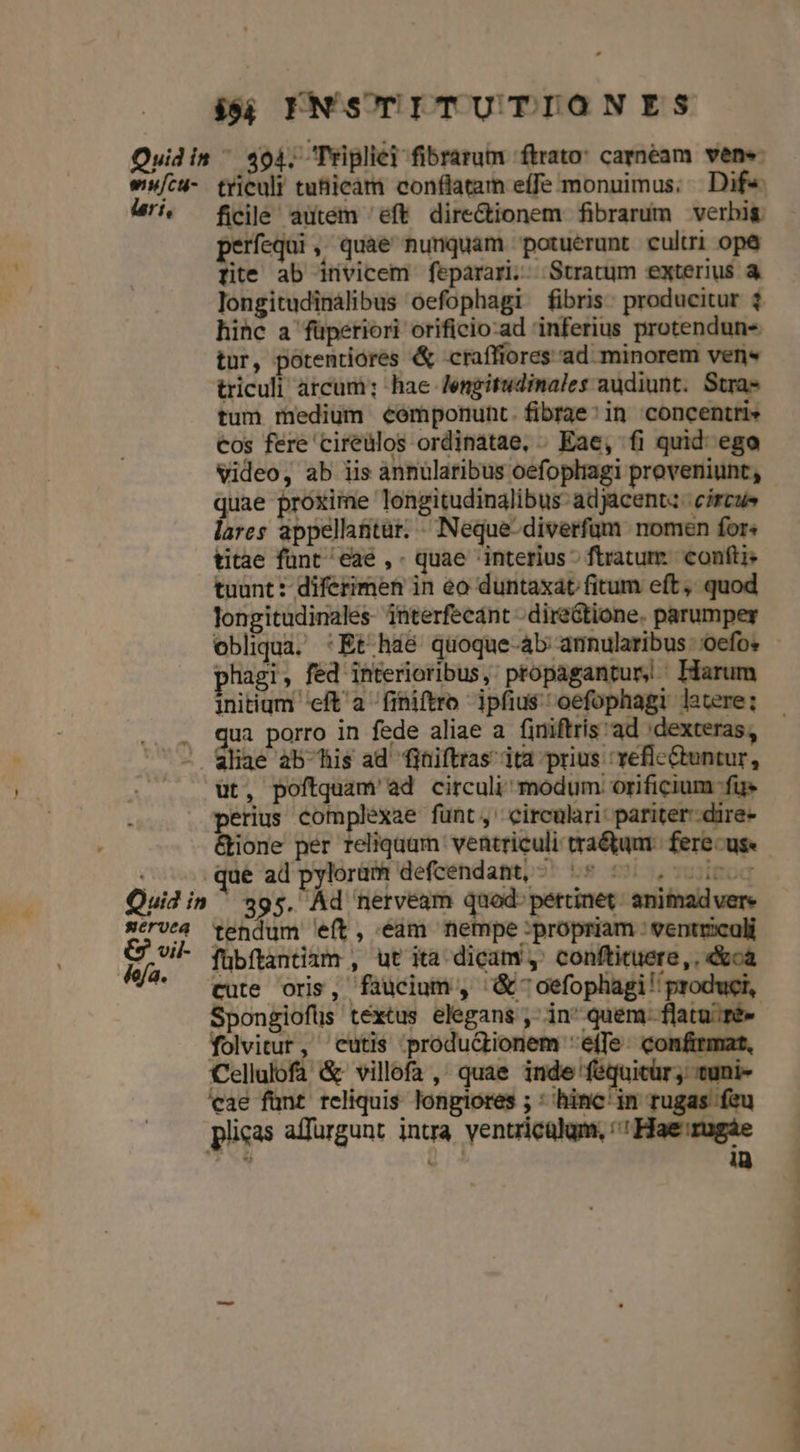 wu/cu- rí, ij INSTITUTIONES triculi tufijicam conflatam effe monuimus; | Dif« ficile' autem 'eft directionem fibrarum verbis. perfequi, quae nunquam potuerunt cultri opé&amp; tite ab irivicem feparari.. Stratum exterius à longitudinalibus oefophagi fibris. producitur $ hinc a füperiori orificio-ad inferius protendun- tur, potentiores &amp; craffiores ad minorem vens triculi arcum; hae lengitudinales audiunt. Stra» tum medium eemponunt. fibrae: in concentri» cos fere cireulos ordinatae, . Eae, fi quid: ego Video, ab iis annülaribus oefopliagi proveniunt, quae proxime longitudinalibus- adjacent: circus lares appellantur. « Neque- diverfum nomen for: titae funt /eae ,- quae interius; ftratum. confti tuunt : diferimen in eo duntaxat fitum eft ,. quod longitudinales- interfecánt -.direGtione. parumper obliqua. :Et háé quoque-ab aunularibus oefos phagi, fed interioribus, propagantur, Harum initium 'eft'a fihiftro ipfius oefophagi latere: qua porro in fede aliae a finiftris ad :dexteras, Quid in servea $9 vil- fofa. ut, poftquam' ad circuli^ modum orificium fus perius complexae fünt,' circulari: pariter--dire- &amp;ione per reliquam ventriculi tra&amp;jum.: fere us« qué ad pylorüm defcendant, ^ ^5 5. i0. 395. Ád nerveam quod- pertinet. animad vere tendum eft, eam nempe :propriam : ventriculi fübftantiam , ut ita dicam, conftituere, , &amp;ca cute oris, faucium, &amp; ^ oefophagi! produci, Spongiofüs textus elegans , in quem. flatu; ré» folvitur, cutis ;produGtionem *e(fe: confirmat, Cellalofa &amp; villofa ,^ quae inde féquitür; tuni- cae fünt reliquis longiores ; ' hinc'in rugas feu plicas affurgunt intra ventricülum, '' Hae'rugáe dut au in