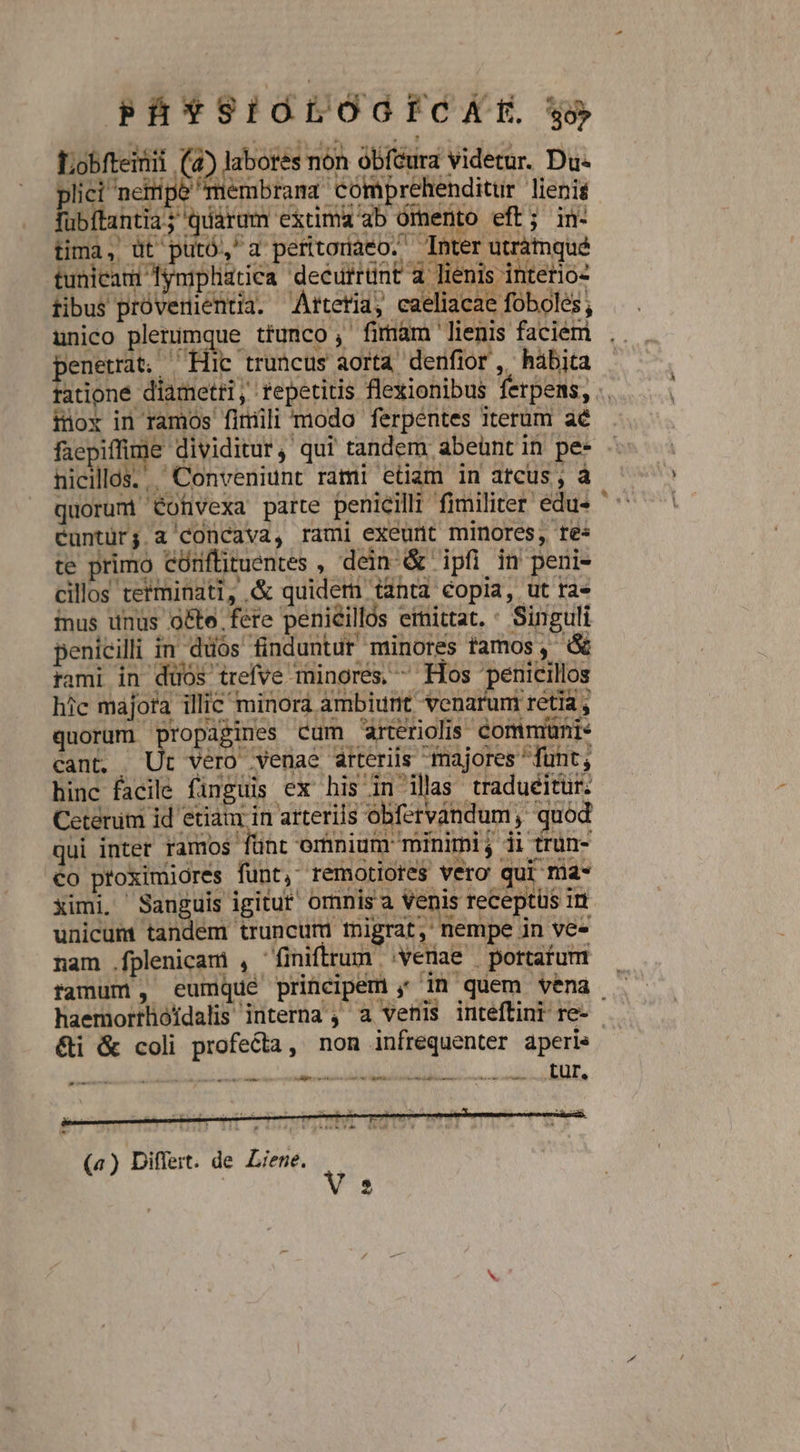 Ph*9IOLOGEFCAE y Lobfteinii (4) labores non obféura videtur. Du- lici netipe membrama comprehenditur lienis übftantia; quarum extima ab ómento eft; in tima, üt putó,'a peritonaeo. Inter utrátnqué tunicam Íymipliatica decurrünt 4 lienis intetio- tibus próvemientia. Attetia, caeliacae foboles, unico plerumque ttunco, firmam lienis faciem . penetrat, ^ Hic truncus aorta denfior , hábita tatione diametri, repetitis flexionibus ferpens, .. iiox in ramos fimili modo ferpentes iterum ac faepiffime dividitur, qui tandem, abeünt in pe- hicillos. ..' Conveniunt rami etiam in atcus, à quorumi Cofvexa parte penicilli fimiliter edus ' éuntürj a concava, rami exeunt minores, res te primo Cünftituentes , dein &amp; ipfi in peni- cillos tetminati, &amp; quidem tanta copia, ut rae inus unus o&amp;te fere peniéillós emittat. * Singuli penicilli in düós finduntur minores tamos, d rami in duos trefve minores, Hos penicillos hic majora illic minora ambiunt venaruni retia , quorum propagines cum arteriis éommiani: cant, Ur vero venae arteriis majores ^ funt, hinc facile finguis ex his in illas tradueitür. Cetenim id etiam in arterils obfervandum , quod qui inter ramos fnr erhnium minimi, ii trun- co ptoximiores funt, remotiores vero qui ma- ximi. A EU omnis a Venis receptus in unicum tandem truncum tnigrat, nempe in ve- nam .fplenicam , finiflrum venae portafum — famum , eumque principem ,; in quem vena . haemortlüóídalis interna ; a venis inteftini re- - &amp;i &amp; coli profecta, nom infrequenter aperie — pe en — LITE (a) Differt. de Liene.