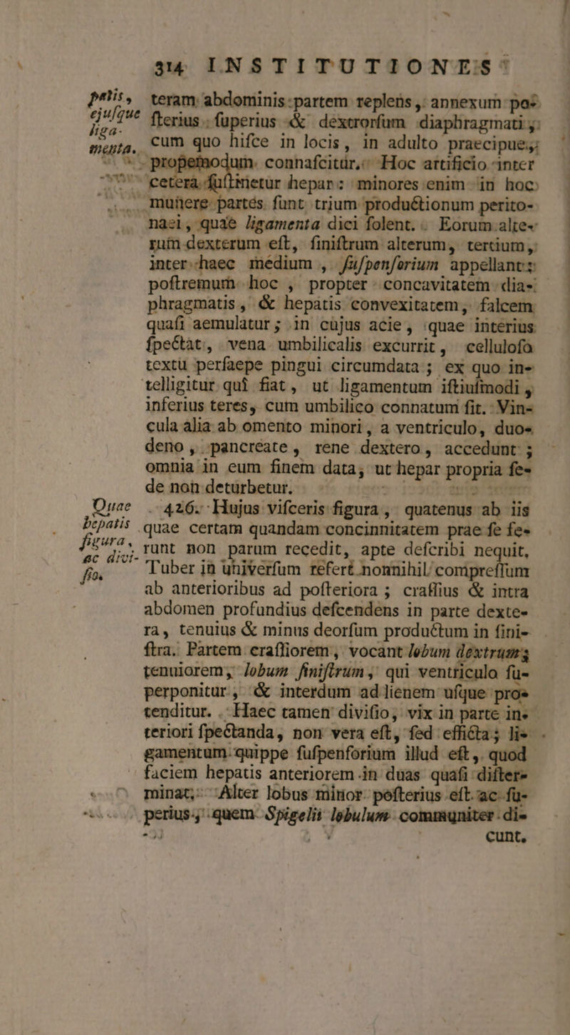 piis, eju/que iiga- mata. 34 INSTITUTIONES:) teram: abdominis :partem replens ,: annexum pos. cum quo hifce in locis, in adulto praecipue: Oae bepatis figura, 8C dic nasi, quae JHigamenta dici folent. .. Eorum alte« ruin dexterum eft, finiftrum alterum, tertium ,. inter-haec medium , fu/penferium appellant phragmatis , &amp; hepatis convexitatem,. falcem. quafi aemulatur; in cüjus acie, quae interius fpeCtàt, vena. umbilicalis excurrit, cellulofa textu perfaepe pingui circumdata ; ex quo in- teligitur qui fiat, ut ligamentum iftiufmodi , inferius teres, cum umbilico connatum fit. : Vin- cula alia ab omento minori, a ventriculo, duo« deno, pancreate, rene dextero, accedunt ; omnia in eum finem data; ut hepar propria fe» de non deturbetur.- 212261 0009720008 - 426. Hujus vifceris figura , quatenus ab iis quae certam quandam concinnitatem prae fe fe» runt hon parum recedit, apte defcribi wiss ab anterioribus ad pofíteriora ; craffius &amp; intra abdomen profundius defcendens in parte dexte- ra, tenutus &amp; minus deorfum productum in fini- ftra. Partem erafliorem , vocant Jeum dextrum tenuiorem, Jobum finifirum ,' qui ventriculo fu- perponitur, &amp; interdum ad lienem ufque pros gamentum.quippe fufpenforium illud eft ,. quod faciem hepatis anteriorem in duas quafi difter- minat; Alter lobus mitior. pefterius eft. ac. fü- perius., .quem- Spigelii lgbulum.. communiter : di- | | cunt. t