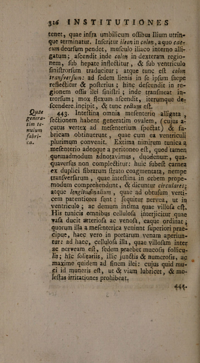 Quae £im te- uiutn fabri- CÓ. gatum; , afcendit inde co/on in dexteram regio- nem, fub hepate infle&amp;titur ,. &amp; fub ventricula iranfverfum: ad fedem lienis in fe ipfum faepe refie&amp;titur &amp; pofterius ; hinc. defcendit in re- gionem oflis ilei finiflri ; inde tranfmeat in- trorfum; mox flexum afcendit, iterumque de- fícendere. incipit, &amp; tunc re&amp;usz eff. 443. Inteftina omnia mefenteriq .alligata fectionem habent generatim ovalem, (cujus a- cutus vertex ad mefenterium ípecat) &amp; fa- bricam obtinuerunt, quae cum ea ventriculi plurimum conyenit. Extima nimirum tunica à  quemadmodum adnotavimus , duodenuim, qua- quaverfus non compleétitur: huic fübeít carnea ex duplici fibrarum ftrato coagmentata, nempe tranfverfarum , quae inteflina in orbem prope- modum comprehendunt , &amp; dicuntur circulares; atque Jengitudinalium , quae ad obtufum verti- cem patentiores funt; fequitur nervea, ut in His tunicis omnibus cellulofa iüterjicitur quae vafa ducit arteriofa ac venofa, eaque ordinat ; quorum illa a mefenterica veniunt füperiori prae- €ipue, haec yero in portarum venam aperiun- tur: ad haec, cellulofa illa, quae villofam inter ac nerveam eft, fedem praebet mucofis follica. lis; hic folitariis, illic jun&amp;is &amp; numerofis, ac maxime quidem ad finem ilei: cujus quid mu- £i id muneris eft, ut &amp; viam luübricet, &amp; mo- ut »