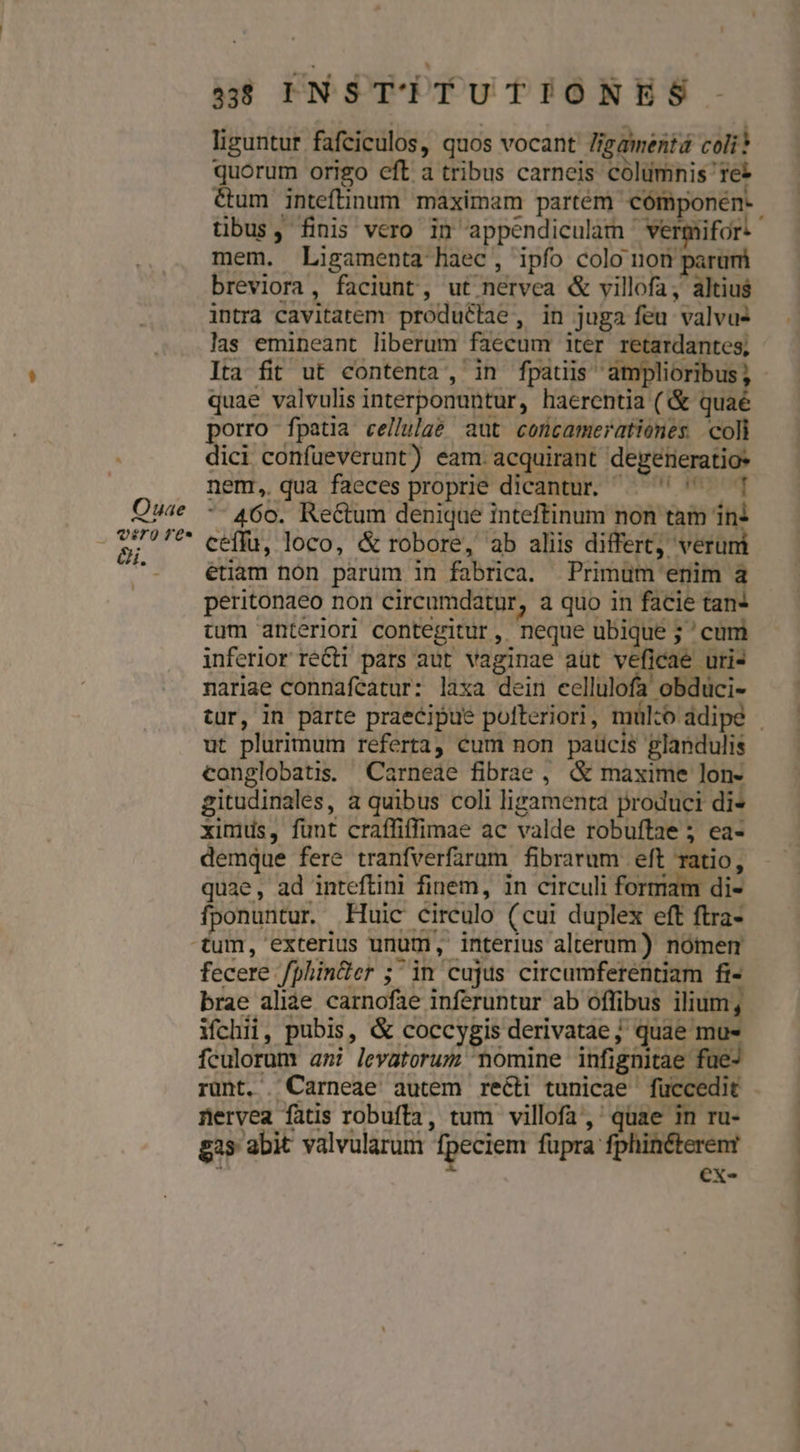 liguntut fafciculos, quos vocant lig amentá coli? quorum origo eft a tribus carneis columnis 1e* tibus, finis vero in appendiculam ' vermifor: mem. Ligamenta haec, ipfo colo nom parum breviora, faciunt, ut nervea &amp; villofa, altius intra cavitatem produ&amp;tae, in juga feu valvus las emineant liberum faecum iter retardantes, Ita fit ut contenta, in fpatiis amplioribus ; quae valvulis interponuntur, haerentia (&amp; quaé porro fpatia cellulae aut concamerationes coli dici confüeverunt) eam. acquirant degereratio* nem, qua faeces proprie dicantur. —  1 - 460. Rectum denique inteftinum non tam ini ceffu, loco, &amp; robore, ab aliis differt veruni étiam nón parum in fabrica. Primum enim a peritonaeo non circumdatur, a quo in facie tan: tum anteriori contegitur, neque ubique; 'cum inferior réCti pars aut vaginae aüt veficae uri- nariae connaftatur: laxa dein cellulofa obdüci- tur, in parte praecipue pofteriori, mülzo adipe conglobatis. Carneae fibrae , &amp; maxime lon- gitudinales, à quibus coli ligamenta produci di* ximus, funt craffiffimae ac valde robuftae 5 ea- demque fere tranfverfarum fibrarum eft ratio, quae, ad inteftini finem, in circuli formam di- fponuntur. Huic circulo (cui duplex eft ftra- fecere fphin&amp;er ; ^in cujus circumferentiam fi- brae aliae carnofae inferuntur ab oflibus ilium, ifchii, pubis, &amp; coccygis derivatae; quae mu- fculorum ani levatorum momine infignitae fue nervea fatis robufta, tum villofa,' quae in ru- gas abit valvularum fpeciem fupra fphinéterenr : i