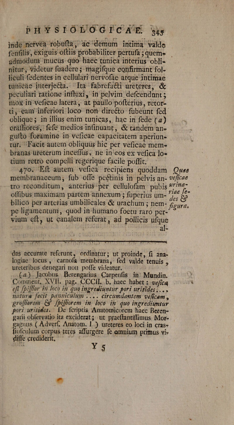 - inde nefvéa robufta, ac demum intima valde fenfilis, exiguis oftiis probabiliter pertufa ; quem» gdmodum' mucüs quo haec tunica interius obli- nitur, videtur fuadere ; magifque confirmant fol- liculi fedentes in cellulari nervofae atque intimae tuniede interjeCta. Ita fabrefatti ureteres, &amp; peculiari ratione inflexi, in pelvim defcendunt ; mox in veficae latera, at paullo pofterius, retor- cráffiores, fefe medios in(inuant, &amp; tandem an- guito foramine in veficae capacitatem aperiun- tur. Facit autem obliquus hic per veficae mem- branas ureterum inceffus, ne in'eos ex vefica lo» tium retro compelli regerique facile poffit. 470. 'Eft autem veficaà recipiens quoddam membranaceum, füb offe peétinis in pelvis an- tro reconditum, anterius'per eellulofam pubis offibus maximam partem annexum ; fuperius um- bilicó per arterias umbilicales &amp; urachum ; nem- pe ligamentum, quod in humano foetu raro per- vium eft, ut canalem referat, ad pollicis ufque à; : : , . al- das accurate referunt, ordinatur; ut proinde, fi ana- logiae. locus , carnofa meubrana,: fed valde tenuis , ureteribus denegari non poffe videatur. : | (4). Jacobus Berengarius Carpenfis in; Mundin. Comment, XVII. pag. CCCIL b. baec habet : vefica efl [piffor in loco in quo ingrediuntur pori uritides;... natura fecit. pannicalum .... circumdantem veftcam , gro[forem e Jpifforem in, loco in. quo ingrediuntur pori uritides. De fcriptis Anatomicorcm haec Beren- garii obfervatio ita exciderat; ut praeftantiffimus. Mor- gagnus ( Adverf, Anatom. l.) ureteres eo loci in cras» fiufculum corpus teres affurgére fe amnium primus vi» diffe crediderit, — | T «1 Y 5 Ouse veficae urina- riae fe» $