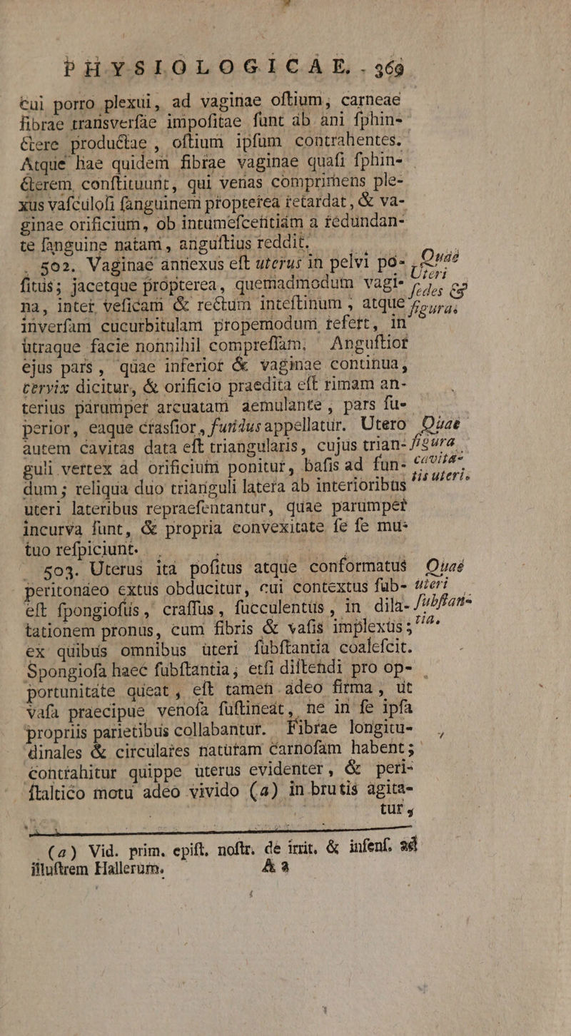 Cui porro plexui, ad vaginae oftium, carneae fibrae rransverfüe impofitae fünt db ani fphin- &amp;ere productae , oftium ipfum contrahentes. Atque liae quidem fibrae vaginae quafi fphin- . lerem, conftituunr, qui venas comprirhens ple- xus vafculoli fanguinem ptoptefea retardat , &amp; va- ginae orificium, ob intumefcetitiám a tedundan- te fanguine natam , anguftius reddit. d . 502. Vaginaé anriexus eft uterus in pelvi po- Quae fitis; jacetque propterea, quemadmodum vagl- 577, cs na, inter, veficam &amp; reCtum inteftinum , atque figura: inverfam cucurbitulam propemodum refert, in ütraque facie nonnihil compreflam. Anguftiof ejus pars, quae inferiot &amp; vagimae continua, teryix dicitur, &amp; orificio praedita eft rimam an- terius párampet arcuatam aemulante , pars fu- perior, eaque crasfior, furidus appellatur. Utero Dzae autem Cavitas data eft triangularis, cujus trian- //2ura. guli vertex ad orificiutn ponitur, bafis ad mco dum ; reliqua duo triariguli latera ab interioribus 4 ^ uteri lateribus repraefentantur, quae parumper incurva funt, &amp; propria convexitate fe fe mu tuo refpiciunt. | 503. Uterus ità pofitus atque conformatu$ Quaé peritondeo extus obducitur, cui contextus fub- Ulerio— elt fpongiofüs,' craffus, fücculentüs,, in dila- Jubftan- tationem pronus, cum fibris &amp; vafis implexüs ; ^ ex quibus omnibus üteri fübftantia coalefcit. Spongiofa haec fubftantia; etfi diltendi pro op- . portunitate queat, eft tamen adeo firma, ut Vafa praecipue venofa fuftinedt, ne in fe ipfa propriis parietibus collabantur. Fibrae longitu- dinales &amp; circulates natütam carnofam habent; Contiahitur quippe üterus evidenter, &amp; peri- ftalico motu adeo vivido (4) in brutis agita- : tur y *  l : : ; ; QUU qud * au (a) Vid. prim. epift. noflr. de irit, &amp; infenf. ad illuftrem Hallerum. — A 3