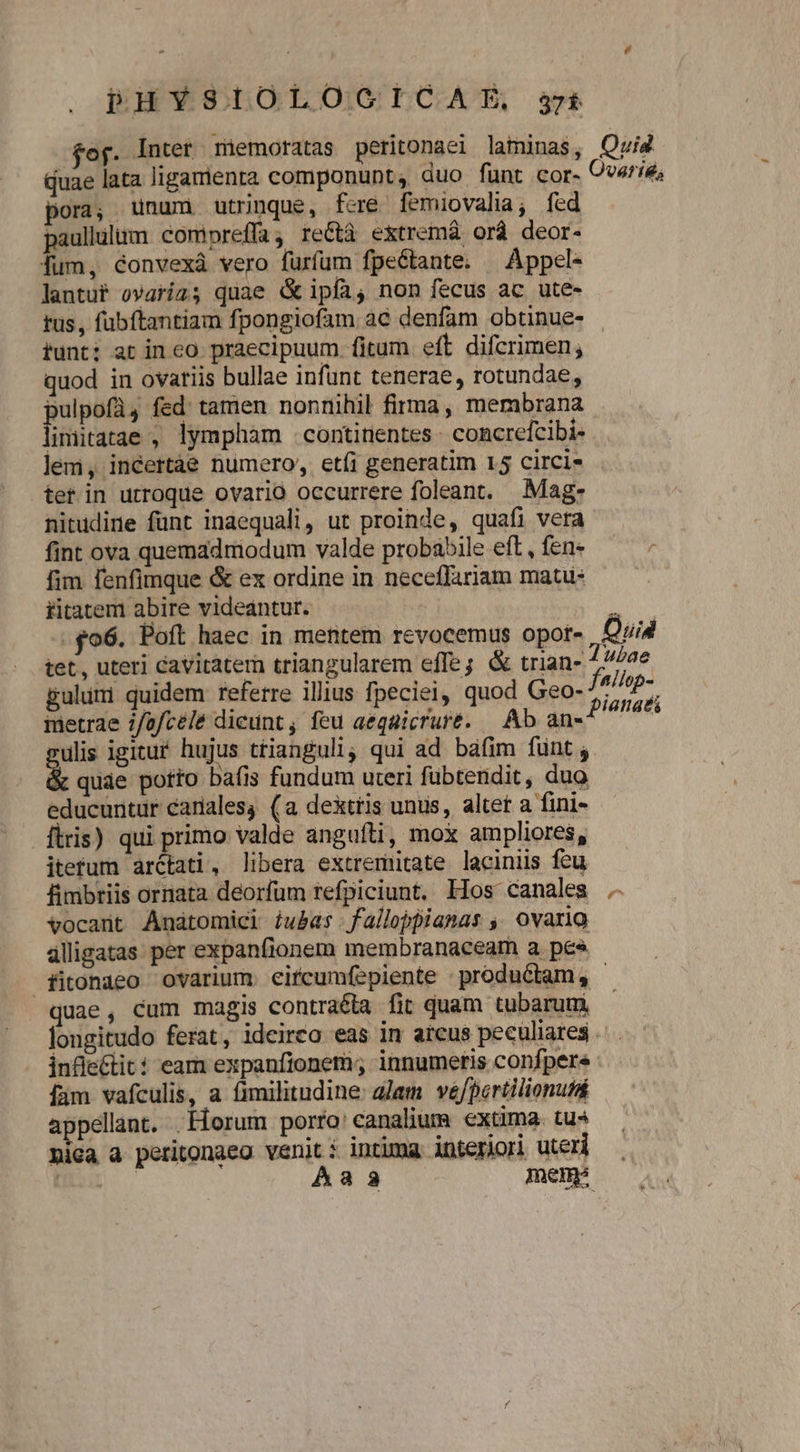 fof. inter memoratas peritonaci laminas, Ovis quae lata ligamenra componunt, duo funt cor. Ovatié; pora, unum utrinque, fere femiovalia, fed paullulum compreffa; re&amp;tà e&amp;tremà or deor- fum, éconvexà vero furfum fpeGtante. ^ Áppel- lantuf ovafizg; quae &amp;ipía; non fecus ac ute- tus, fübftantiam fpongiofam ac denfam obtinue- tunt; at inco praecipuum fitum eft difcrimen; quod in ovatiis bullae infunt tenerae, rotundae, pulpofà4 fed tamen nonnihil firma, membrana. fiticatamad lymphàm continentes - concrefcibi- lem, incertàe numero, etíi generatim 15 circi- tet in utroque ovario occurrere foleant. Mag- nitudine fünt inaequali, ut proinde, quafi vera fint ova quemadmodum valde proba5ile eft, fen. fim fenfimque &amp; ex ordine in neceffariam matu: | titatem abire videantur. 2. . o6. Poft haec in mentem revocemus opot- Quid tet, uteri cavitatem triangularem effe; &amp; trian- Tubae gulumi quidem referre illius fpeciei, quod Geo- ca ietrae i/ofcéle dieunt, feu aeqaicruré. — Ab an-? ere ulis igitur hujus trianguli, qui ad báfim funt ; a quàe potto bafis fundum uteri fubtendit, duo educuntur cariales, (a dextris unus, altet a fini- ftris) qui primo valde anguíti, mox ampliores, itetum aróctati, libera extremitate laciniis feu fimbriis ornata deorfum refpiciunt. Hos canales .. vocant Anátomici iu&amp;as. fallopianas ,, ovario dlligatas per expanfionem membranaceam a. pes fitonaeo ovarium. eitcumfepiente : productam, - quae, cum magis contraéta fit quam tubarum. longitudo ferat, ideirca eas in arcus peculiares... infe&amp;titi eam expanfionem; innumetis confpere : íam vafculis, a fimilitudine. alam. vefperiilionutd appellant. Horum porro: canalium extima. tu nica a peritonaea venit: intima interiori uteri Hu Aaa mem:
