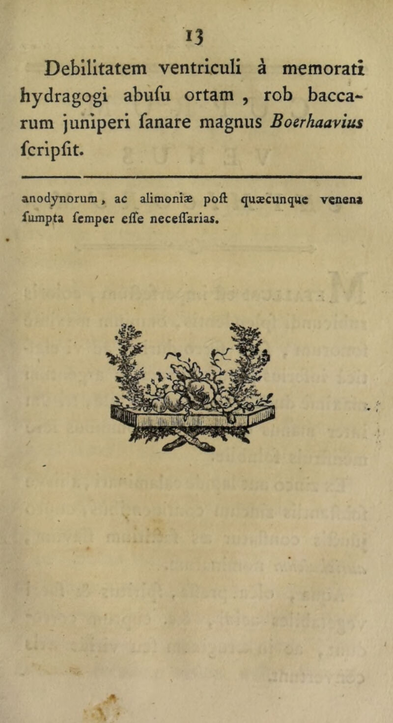 Debilitatem ventriculi a memorati hydragogi abufu ortam , rob bacca- rum juniperi fanare magnus Boerhaavius fcriplit. anodynorum, ac alimonis poft quxcunque vcaena fujnpta femper eiTe necefTarias.