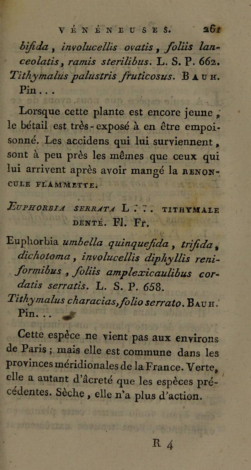 bifida , involucellis ovatis , foliis lan- ceolatisy ramis sterilibus. L. S. P. 662. Tithy malus palustris fruticosus. B a U h. Pin. . . Lorsque cette plante est encore jeune le bétail est très-exposé à en être empoi- sonné. Les accidens qui lui surviennent, sont à peu près les mêmes que ceux qui lui arrivent après avoir mangé la renon- cule FIAMMETTE. Eu P H ORS JA SERRAT A L7 77 TITHYMALE DENTÉ. Fl. Fr. Euphorbia umbella quinquejida , trifida, dicholoma, involucellis diphyllis reni- formibus , Joliis amplexicaulibus cor- datis serratis. L. S. P. 658. Tithy malus characias,folio serrato. Bauh7 Pin. . . Cette espèce ne vient pas aux environs de Paris ; mais elle est commune dans les provinces méridionales de la France. Verte, elle a autant d’acreté que les espèces pré- cédentes. Seche , elle n’a plus d’action.
