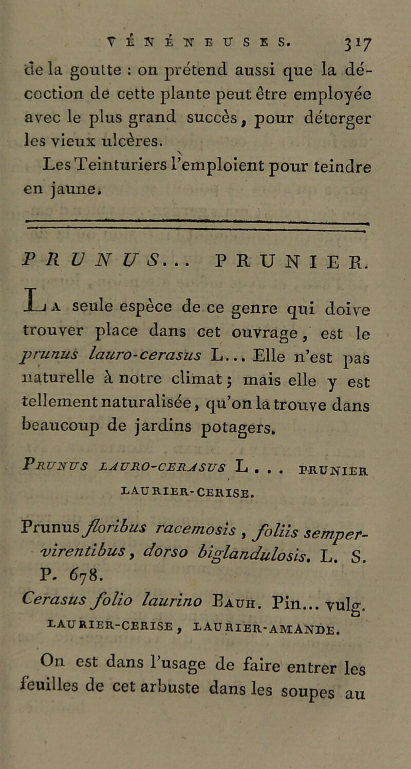 de la goutte : on prétend aussi que la dé- coction de cette plante peut être employée avec le plus grand succès, pour déterger les vieux ulcères. \ Les Teinturiers l’emploient pour teindre en jaune. PRUNUS. . . PRUNIER. L a seule espèce de ce genre qui doive trouver place dans cet ouvrage, est le prunus lauro-cercisus L... Elle n’est pas naturelle à notre climat ; mais elle y est tellement naturalisée, qu’on la trouve dans beaucoup de jardins potagers. Prunus lauro-cerasus L . . . prunier xaurier-cerise. Prunus floribus racemosis , foliis semper- virentibus, dorso biglandulosis. L. S. P. 678. Cerasus folio laurino Eauh. Pin... vulg. XAURIER-CERISE , EAU HIER-AMANDE. On est dans 1 usage de faire entrer les feuilles de cet arbuste dans les soupes au