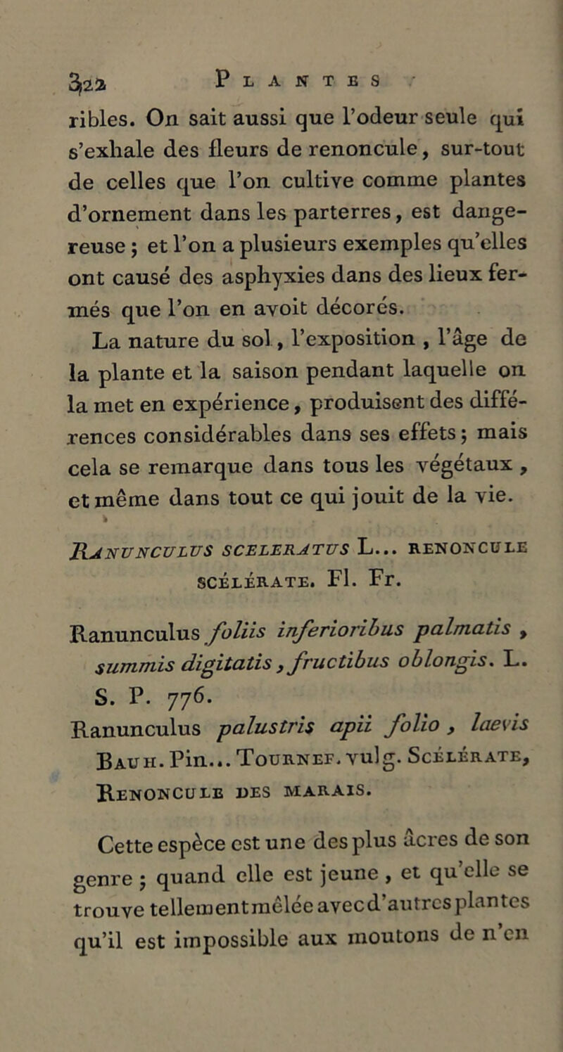 ribles. On sait aussi que l’odeur seule qui s’exhale des fleurs de renoncule, sur-tout de celles que l’on cultive comme plantes d’ornement dans les parterres, est dange- reuse ; et l’on a plusieurs exemples qu’elles ont causé des asphyxies dans des lieux fer- més que l’on en avoit décorés. La nature du sol, l’exposition , l’âge de la plante et la saison pendant laquelle on la met en expérience, produisent des diffé- rences considérables dans ses effets ; mais cela se remarque dans tous les végétaux , et même dans tout ce qui jouit de la vie. * Ranunculus sceleratus L... renoncule SCÉLÉRATE. Fl. Fr. Ranunculus foliis inferioribus pa.lma.tis , summis cligitatis , fructibus oblongis. L. S. P. 776. Ranunculus palustris apii folio , laevis B au h. Pin... Tournef. vulg. Scélérate, Renoncule des marais. Cette espèce est une des plus âcres de son genre ; quand elle est jeune , et qu’elle se trouve te lie ment mêlée avec d’au très plantes qu’il est impossible aux moutons de n en