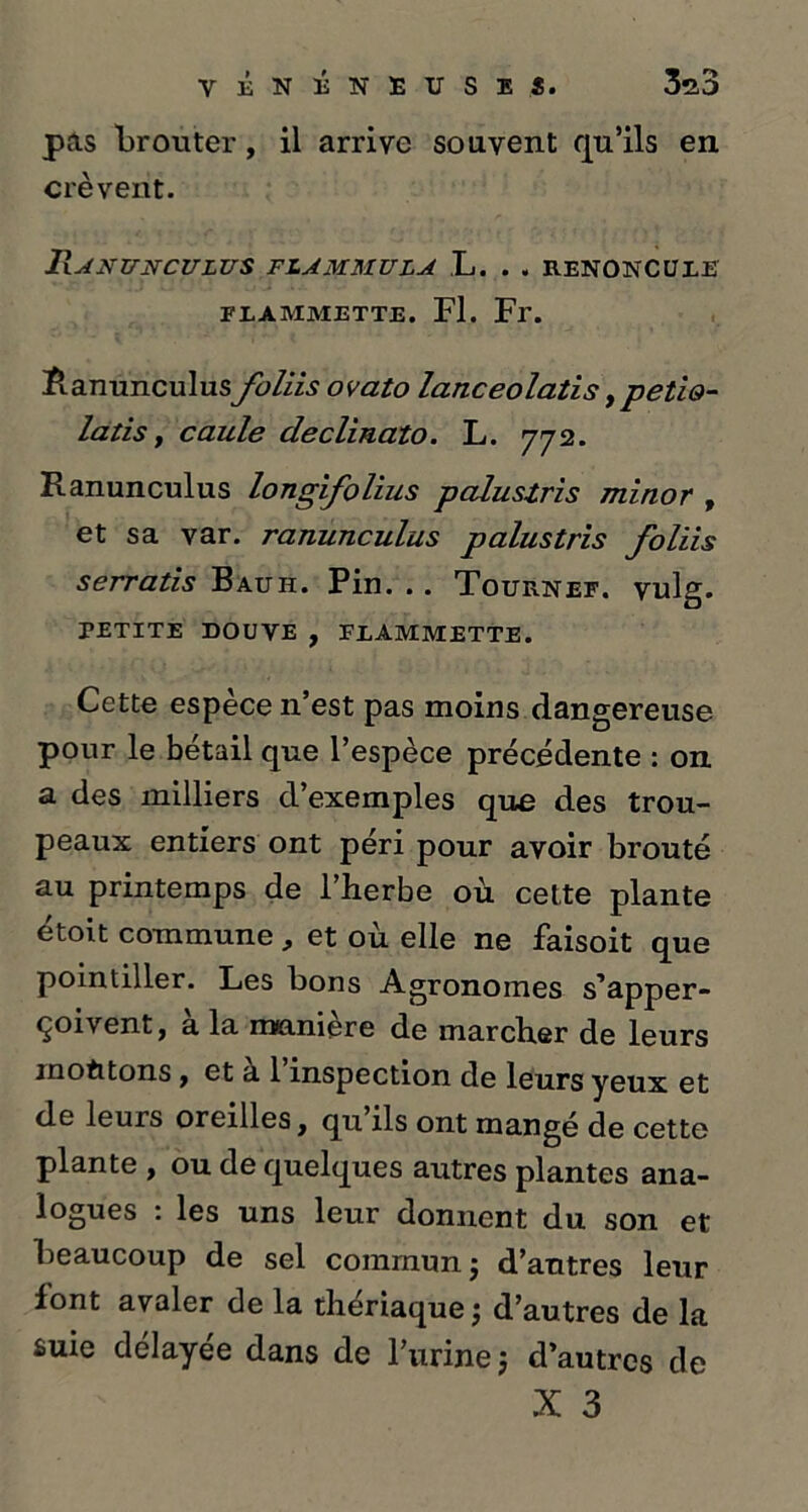 VïNïNÏUSïî. 3ît3 pas brouter, il arrive souvent qu’ils en crèvent. RANUNCULUS FLAMMULA L. . . RENONCULE FRAMMETTE. Fl. Fr. Ranunculusfoliis ovato lanceolatis,petw- latis, caule declinato. L. 772. Ranunculus longifolius palustris minor , et sa var. ranunculus palustris foliis serratis Bauh. Pin. .. Tournée, vulg. PETITE DOUVE , FEAMMETTE. Cette espèce n’est pas moins dangereuse pour le bétail que l’espèce précédente : on a des milliers d’exemples que des trou- peaux entiers ont péri pour avoir brouté au printemps de l’herbe où celte plante étoit commune, et où elle ne faisoit que pointiller. Les bons Agronomes s’apper- çoivent, à la manière de marcher de leurs montons y et a 1 inspection de leurs yeux et de leurs oreilles, qu’ils ont mangé de cette plante , ou de quelques autres plantes ana- logues : les uns leur donnent du son et beaucoup de sel commun; d’antres leur font avaler de la theriaque ; d’autres de la suie délayée dans de l’urine j d’autres de