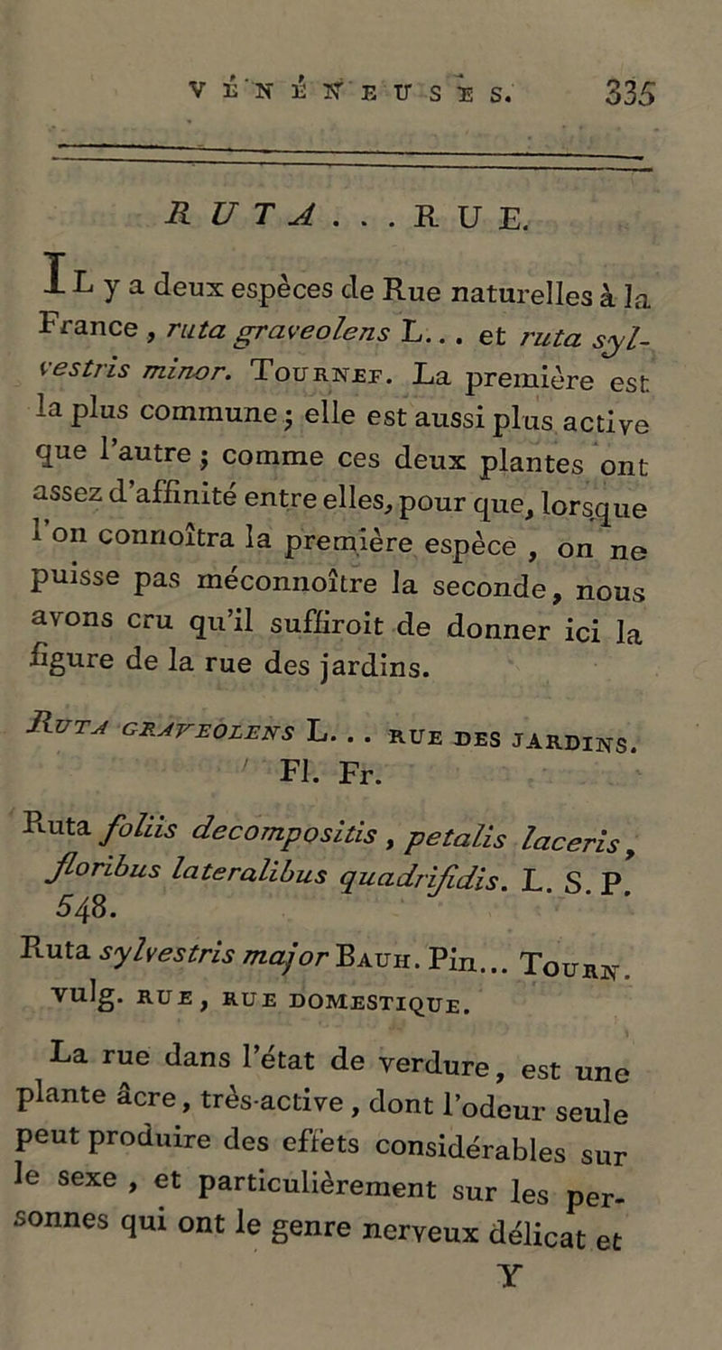 R U T A . . . R U E. IL y a deux espèces de Rue naturelles à la France , ru ta graveolens L.. . et ruta sui- ves tris miner. Tournef. La première est la plus commune • elle est aussi plus active que l’autre ; comme ces deux plantes ont assez d affinité entre elles, pour que, lorsque i on conrioîtra la première espèce , on ne puisse pas méconnoître la seconde, nous avons cru qu’il suffiroit de donner ici la figure de la rue des jardins. RüTJ GRAVEOLENS L. . . RUE DES JARDINS ' Fl. Fr. R-uta foins décomposais ,petalis laceris , Jloribus lateralibus quadrijidis. L. S. P. 54 8. Ruta sylvestris majorPxvn. Pin... Tourn. vulg. RUE, RUE DOMESTIQUE. La rue dans l’état de verdure, est une plante âcre, très-active , dont l’odeur seule peut produire des effets considérables sur le sexe , et particulièrement sur les per- sonnes qui ont le genre nerveux délicat et Y