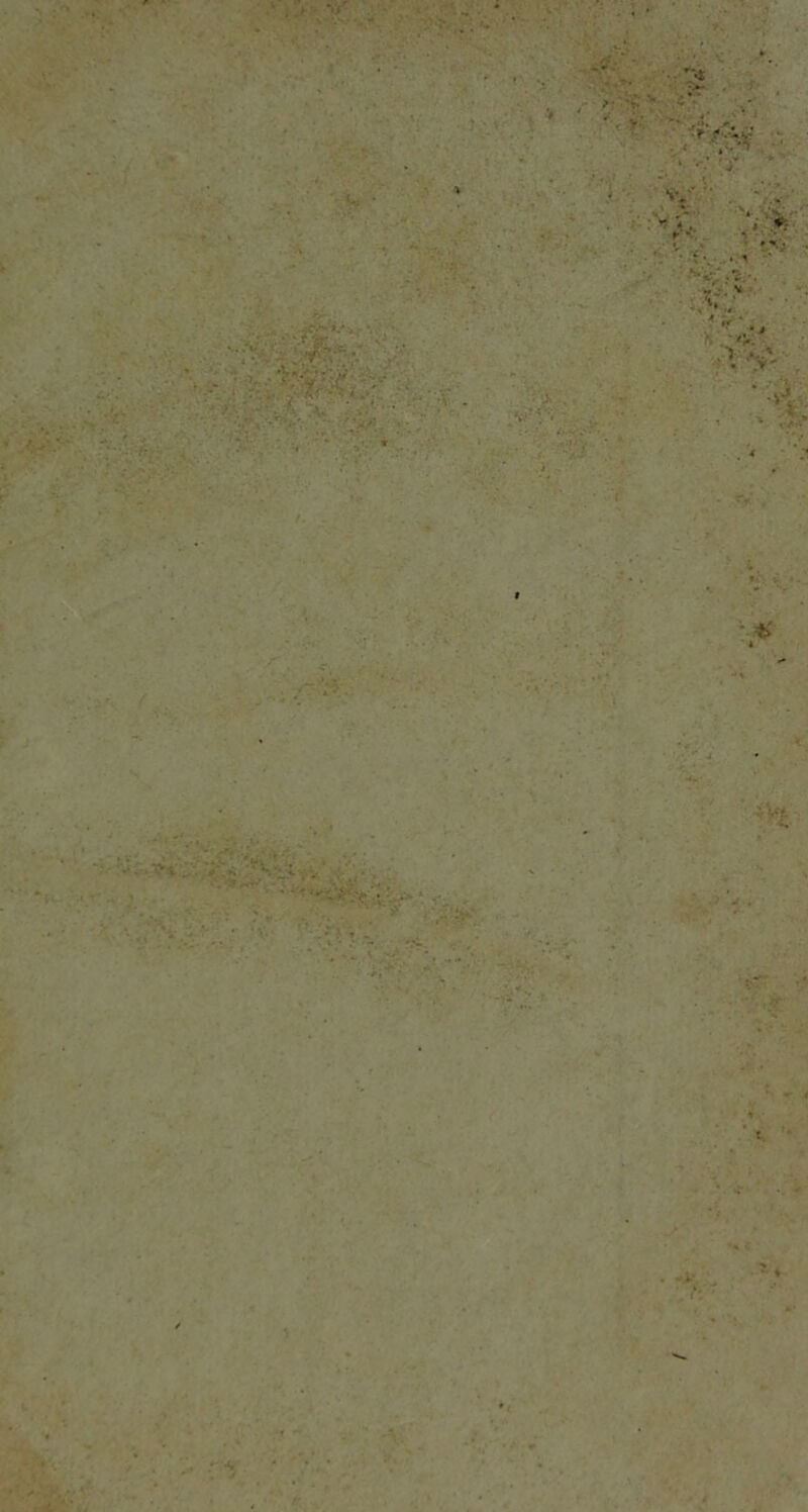 ( l v ■' ; .f r'-v