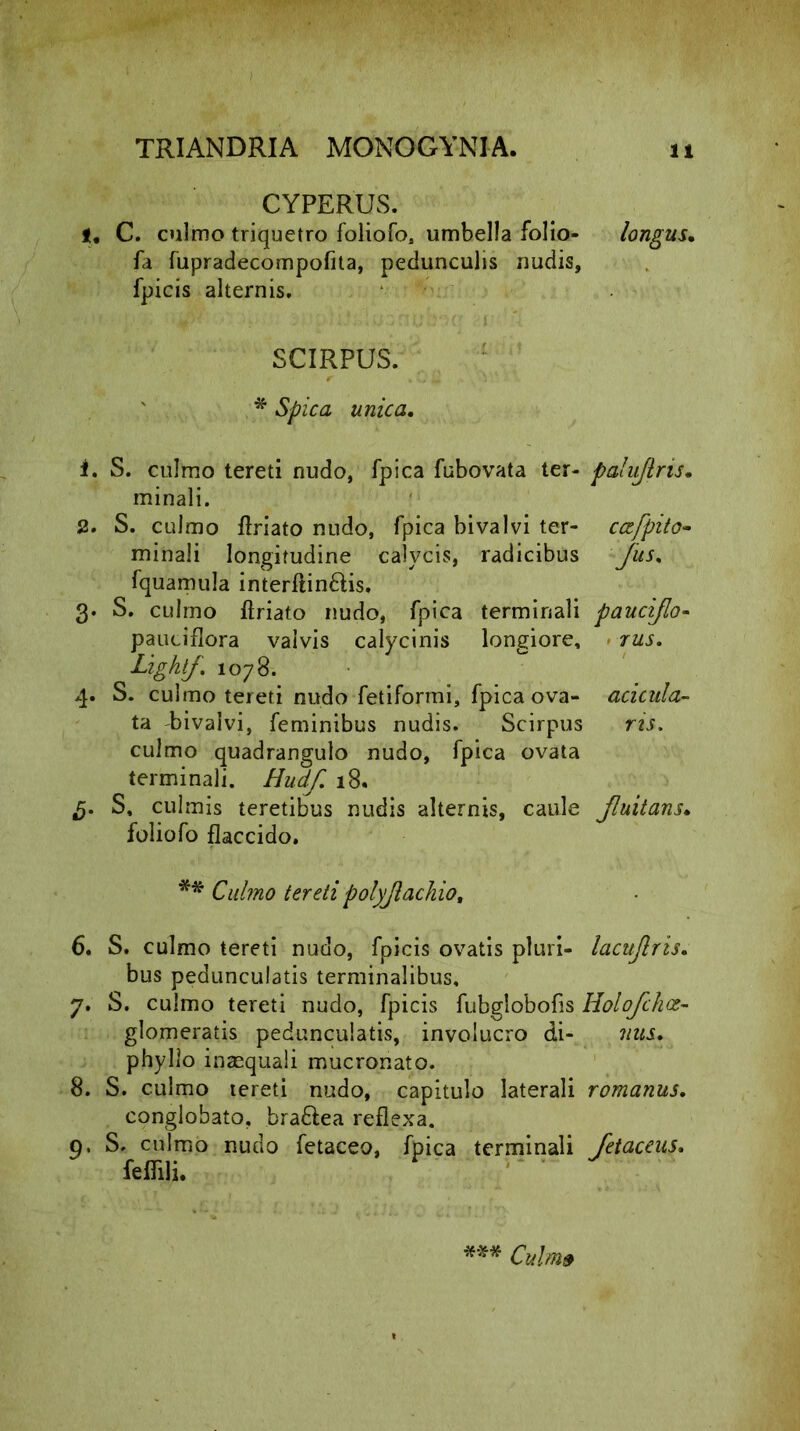 CYPERUS. U C. culmo triquetro foliofo, umbella folio- longus. fa fupradecompofita, pedunculis nudis, fpicis alternis. SCIRPUS. * Spica unica, 1. S. culmo tereti nudo, fpica fubovata ter- palujlns. minali. 2. S. culmo flriato nudo, fpica bivalvi ter- cccfpito- minali longitudine calycis, radicibus Jus, fquamula interflin£Hs, 3. S. culmo ftriato nudo, fpica terminali paucijlo- pauciflora valvis calycinis longiore, rus. Lighlf. 1078. 4. S. culmo tereti nudo fetiformi, fpica ova- acicula- ta bivalvi, feminibus nudis. Scirpus ris. culmo quadrangulo nudo, fpica ovata terminali. Hudf, 18. 5. S, culmis teretibus nudis alternis, caule Jluitans. foliofo flaccido. ** Culmo tereti polyjlachio, 6. S. culmo tereti nudo, fpicis ovatis pluri- lacujlris, bus pedunculatis terminalibus, 7. S. culmo tereti nudo, fpicis fubglobofis Holofchoe- glomeratis pedunculatis, involucro di- nus, phyllo inasquali mucronato. 8. S. culmo tereti nudo, capitulo laterali romanus. conglobato, bra&ea reflexa. 9. S. culmo nudo fetaceo, fpica terminali Jetaceus. feflili. *** Culm