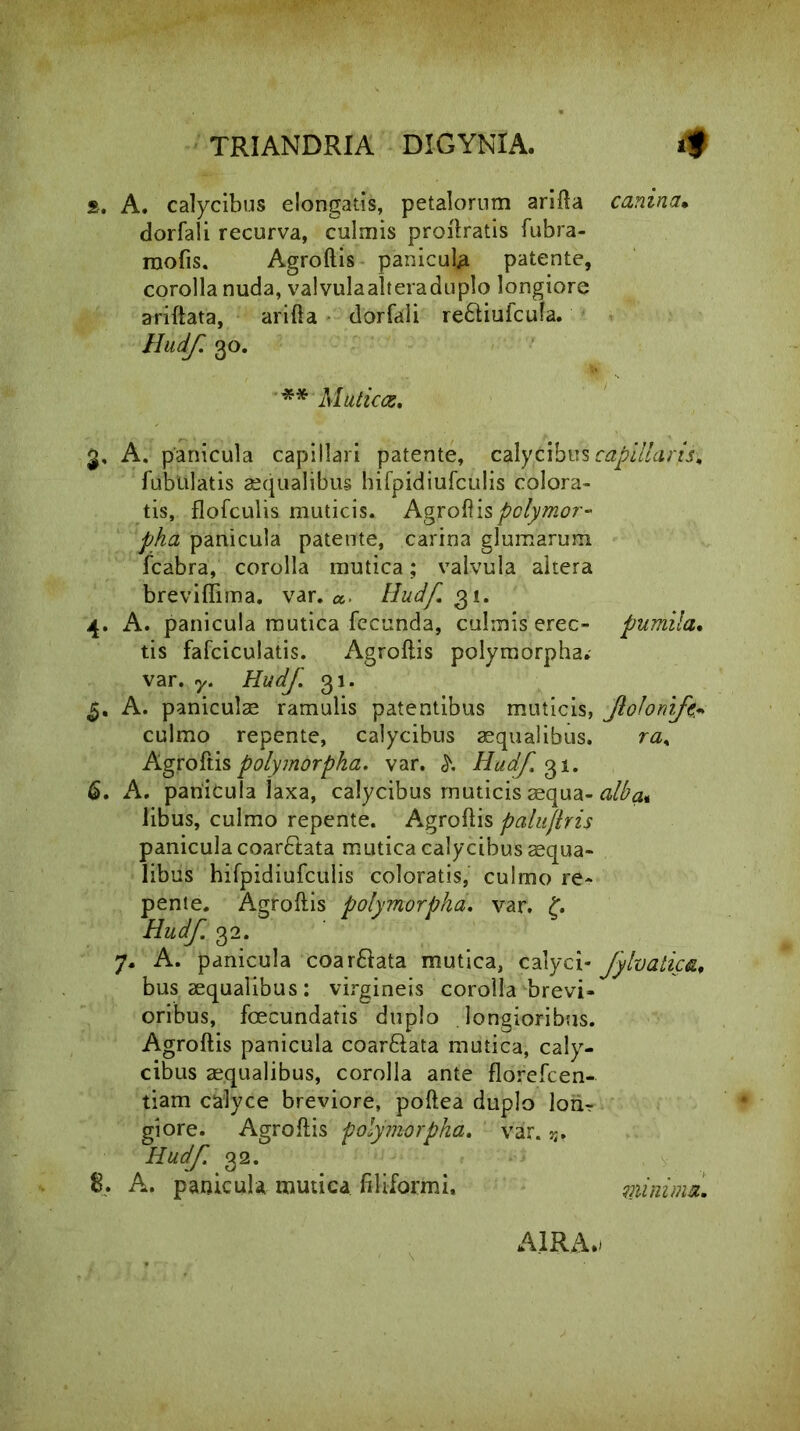 2. A. calycibus elongatis, petalorum arifta canina• dorfali recurva, culmis proftratis fubra- mofis. Agroftis panicub patente, corolla nuda, valvulaalteraduplo longiore ariftata, arifta dorfali re£Hufcu!a. Hudf. 30. ** Muticas. 3. A. panicula capillari patente, calycibus capillaris, fubulatis aequalibus hifpidiufculis colora- tis, flofculis muticis. Agroftis polymor- pha panicula patente, carina glumarum fcabra, corolla mutica; valvula altera breviffima. var. Hudf 31. 4. A. panicula mutica fecunda, culmis erec- pumila. tis fafciculatis. Agroftis polymorpha; var. y. Hudf. 31. A. paniculas ramulis patentibus muticis, fiolonift* culmo repente, calycibus aequalibus. ra. Agroftis polymorpha, var. Hudf. 31. 6. A. panicula laxa, calycibus muticis aequa- alba* libus, culmo repente. Agroftis paluflris panicula coar£tata mutica calycibus aequa- libus hifpidiufculis coloratis, culmo re- pente. Agroftis polymorpha, var. f. Hudf. 32. 7. A. panicula coar&ata mutica, calyci- fylvatica, bus aequalibus : virgineis corolla brevi- oribus, fecundatis duplo longioribus. Agroftis panicula coar&ata mutica, caly- cibus aequalibus, corolla ante florefcen- tiam calyce breviore, poftea duplo lonr giore. Agroftis polymorpha, var. 3;, Hudf. 8. A. panicula mutica filiformi, minima. AlRA.i