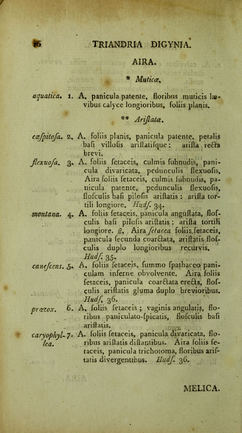 AIRA. * Mutica% aquatica• l. A, panicula patente, floribus muticis lae- vibus calyce longioribus, foliis planis. ** Arifiata. cafpitofa. 2, A. foliis planis, panicula patente, petalis bafi villofis ariftatifque: arifla re£Va brevi, Jlexuofa, 3. A. foliis fetaceis,, culmis fubnudis, pani- cula divaricata, pedunculis flexuofis, Aira foliis fetaceis, culmis fubnudis, pa- nicula patente, pedunculis flexuofis, flofculis bafi piSofis ariftatis : arifta tor- tili longiore, Hudf 34. montana. 4. A. foliis fetaceis, panicula anguftata, flof- culis bafi pilcfis ariftatis : arifta tortili longiore, jg, Airafetacea foliis.fetaceis, panicula fecunda coar&ata, ariftatis flof- culis duplo longioribus recurvis. Hudf. 35. canefcens. 5. A, foliis fetaceis, fummo fpathaceo pani- culam inferne obvolvente, Aira foliis fetaceis, panicula coar&ata erecta, flof- culis ariftatis gluma duplo brevioribus. Hudf, 36. prcetox. 6. A, foliis fetaceis ; vaginis angulatis, flo- ribus paniculato-fpicatis, flofculis bafi ariftatis. :J£)X caryophyl- T* A. foliis fetaceis, panicula divaricata, flo - lea. ribus ariftatis diftantibus. Aira foliis fe- taceis, panicula trichotoma, floribus arif- tatis divergentibus. Hudf. 36. MELICA.