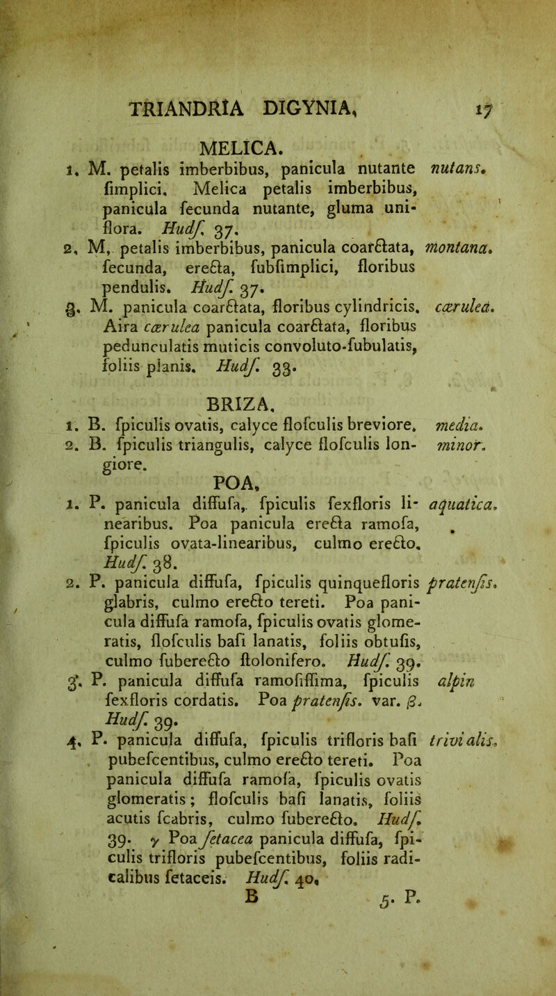 MELICA. 1, M. petalis imberbibus, panicula nutante fimplici, Melica petalis imberbibus, panicula fecunda nutante, gluma uni- flora. Hudf 37. 2, M, petalis imberbibus, panicula coar&ata, fecunda, ere&a, fubfimplici, floribus pendulis. Hudf 37. M. panicula coar&ata, floribus cylindricis. Aira ccerulea panicula coar&ata, floribus pedunculatis muticis convoluto-fubulatis, foliis planis. Hudf. 33. BRIZA, 1. B. fpiculis ovatis, calyce flofculis breviore. 2. B. fpiculis triangulis, calyce flofculis lon- giore. POA, 1. P. panicula diffufa, fpiculis fexfloris li- nearibus. Poa panicula erefta ramofa, fpiculis ovata-linearibus, culmo ere£lo, Hudf. 38. 2. P. panicula diffufa, fpiculis quinquefloris glabris, culmo erefto tereti. Poa pani- cula diffufa ramofa, fpiculis ovatis glome- ratis, flofculis bafi lanatis, foliis obtufis, culmo fuberefto flolonifero. Hudf 39. 3*. P. panicula diffufa ramofiffima, fpiculis fexfloris cordatis. Poa pratenfis. var. Hudf. 39. 4. P. panicula diffufa, fpiculis trifloris bafi pubefcentibus, culmo ere£io tereti. Poa panicula diffufa ramofa, fpiculis ovatis glomeratis; flofculis bafi lanatis, foliis acutis fcabris, culmo fubere£fo. Hudf 39. y Poa fetacea panicula diffufa, fpi- culis trifloris pubefcentibus, foliis radi- calibus fetaceis. Hudf 40, nutans. 1 montana. ccerulea. media. minor. aquatica, pratenfs. alpin trivi alis