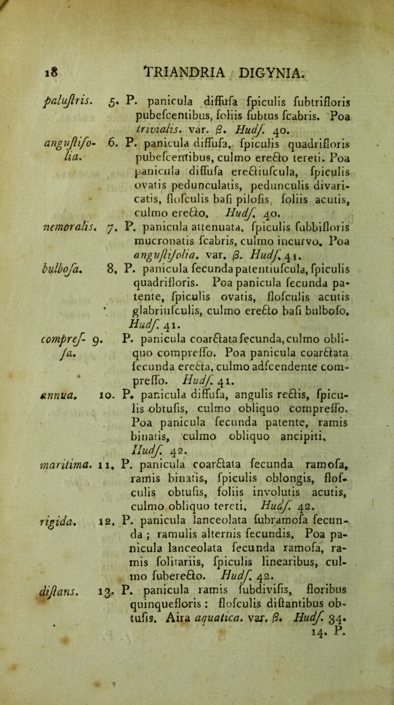 palujlris. 5. P. panicula diffufa fpiculis fubtrifloris pubefcentibus, foliis fubtus fcabris. Poa trivialis. var. £* Hudf. 40. angujlifo- 6. P. panicula diffufa, fpiculis quadrifloris ha. pubefcentibus, culmo ere&o tereti. Poa panicula diffufa ere&iufcula, fpiculis ovatis pedunculatis, pedunculis divari- catis, flofculis bafi pilofis foliis acutis, culmo ere&o, Hudf 40. nemoralis. 7. P, panicula attenuata, fpiculis fubbifloris mucronatis fcabris, culmo incurvo. Poa angujlifolia. var. @. Hudf 41. bulbofa. 8, P. panicula fecunda patentiufcula, fpiculis quadrifloris. Poa panicula fecunda pa- tente, fpiculis ovatis, flofculis acutis * glabriufculis, culmo ere£to bafi bulbofo, Hudf. 41. compref 9. P. panicula coar&atafecunda,culmo obli- Ja. quo compreffo. Poa panicula coar&ata fecunda eretla, culmo adfcendente com- preffo. Hudf 41. annua, 10. P. panicula diffufa, angulis re£lis, fpicu- lis obtufis, culmo obliquo compreffo. Poa panicula fecunda patente, ramis binatis, culmo obliquo ancipiti, Hudf 42. maritima. 11, P. panicula coar£lata fecunda ramofa, ramis binatis, fpiculis oblongis, flof- culis obtufis, foliis involutis acutis, culmo obliquo tereti, Hudf 42. rigida. i2. P. panicula lanceolata fubramofa fecun- da ; ramulis alternis fecundis. Poa pa- nicula lanceolata fecunda ramofa, ra- mis folitariis, fpiculis linearibus, cul- mo fubere&o. Hudf 42. dijlans. 13. P. panicula ramis fubdivifis, floribus quinquefloris: flofculis diftantibus ob- tufis. Aira aquatica. var. /?. Hudf 34. 14. p.