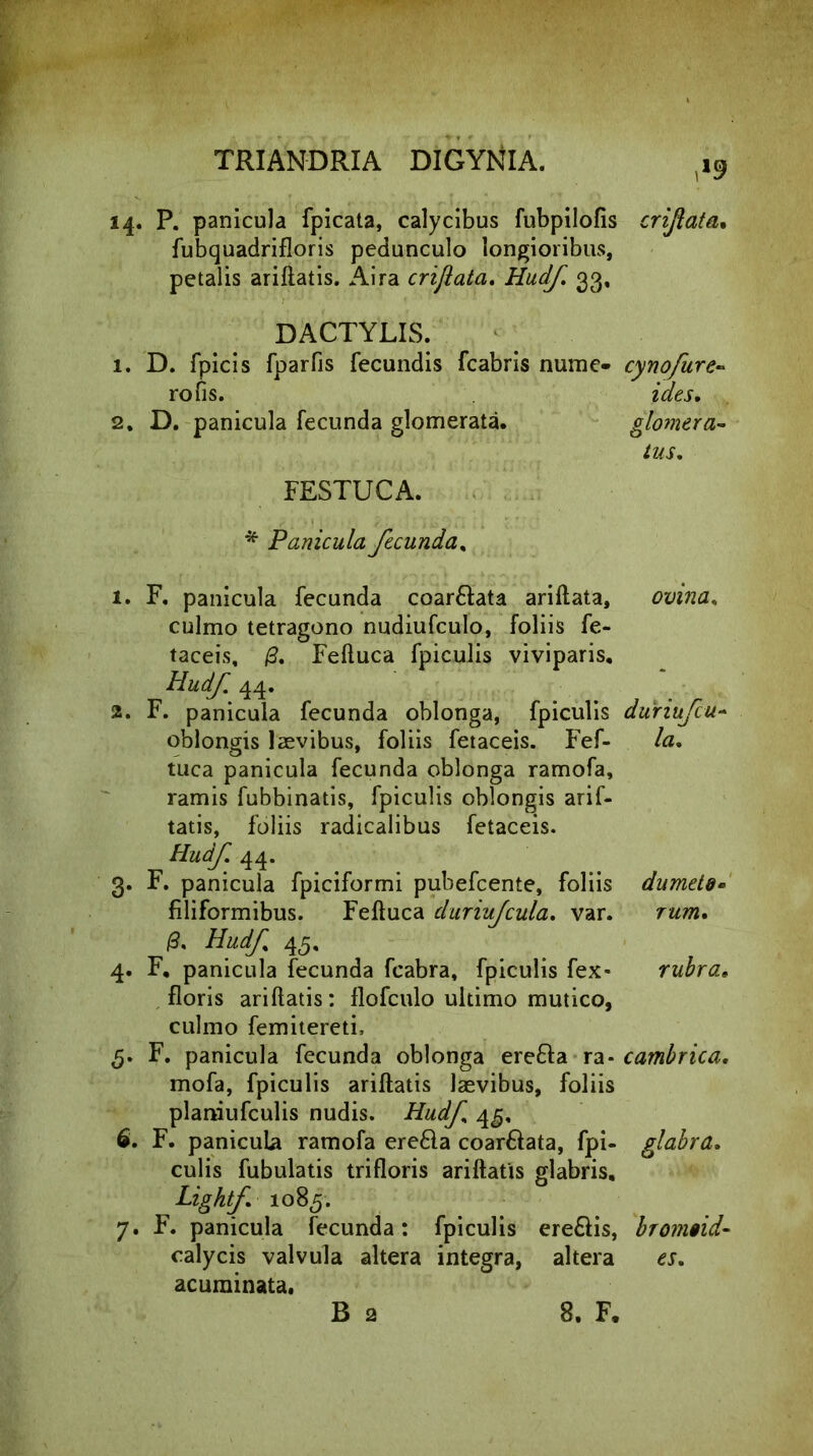 14. P. panicula fpicata, calycibus fubpilofis crijiata. fubquadrifloris pedunculo longioribus, petalis ariftatis. Aira crijiata. Hudf. 33, 1. D. fpicis fparfis fecundis fcabris nume- cynofure~ 1. F, panicula fecunda coar&ata ariftata, ovina. culmo tetragono nudiufculo, foliis fe- taceis, £. Feftuca fpiculis viviparis, Hudf. 44. 2. F. panicula fecunda oblonga, fpiculis dunufcu- oblongis laevibus, foliis fetaceis. Fef- la. tuca panicula fecunda oblonga ramofa, ramis fubbinatis, fpiculis oblongis arif- tatis, foliis radicalibus fetaceis. Hudf. 44. 3. F. panicula fpiciformi pubefcente, foliis dumeto* filiformibus. Feftuca duriujcula. var. rum. /3. Hudf 45, 4. F, panicula fecunda fcabra, fpiculis fex- rubra. floris ariftatis: flofculo ultimo mutico, culmo femitereti, 5. F. panicula fecunda oblonga erefta ra- cambrica. mofa, fpiculis ariftatis laevibus, foliis planiufculis nudis. Hudf 4^, 6. F. panicula ramofa ere&a coar&ata, fpi- glabra. culis fubulatis trifloris ariftatis glabris, Lightf 1085. 7. F. panicula fecunda: fpiculis ere&is, bromoid- calycis valvula altera integra, altera es. acuminata. DACTYLIS. rofis. 2. D. panicula fecunda glomerata. FESTUCA. * Panicula fecunda, R 2 8. F.