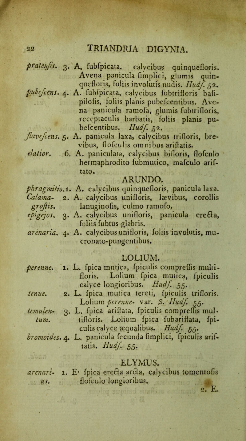 pfatenfs, 3. A. fubfpicata, calycibus quinquefloris. Avena panicula fimplici, glumis quin- quefloris, foliis involutis nudis. Hudf 52. pubefcens. 4. A. fubfpicata, calycibus fubtrifloris bafi- pilofis, foliis planis pubefcentibus. Ave- na panicula ramofa, glumis fubtrifloris, receptaculis barbatis, foliis planis pu- befcentibus. Hudf. 52. favefcens. 5. A, panicula laxa, calycibus trifloris, bre- vibus, flofculis omnibus ariflatis. elatior, 6, A. paniculata, calycibus bifloris, flofculo hermaphrodito fubmutico, mafculo arif- tato. ARUNDO. pkragmitis, 1. A. calycibus quinquefloris, panicula laxa. Calama- 2. A. calycibus unifloris, laevibus, corollis grojlis, lanuginofis, culmo ramofo. epigejos, 3. A. calycibus unifloris, panicula ere£la, foliis fubtus glabris. arenaria, 4. A. calycibus unifloris, foliis involutis, mu- cronato-pungentibus. LOLIUM. perenne, 1. L. fpica mntica, fpiculis comprefTis multi- floris. Lolium fpica mutica, fpiculis calyce longioribus. Hudf, 55, tenue, 2. L. fpica mutica tereti, fpiculis trifloris. Lolium perenne- var. £. Hudf. 55. temulen- 3. L. fpica ariflara, fpiculis comprefTis mub tum, tifloris. Lolium fpica fubariffata, fpi- culis calyce aequalibus. Hudf. 55. bromoides, 4. L, panicula fecunda fimplici, fpiculis arif- tatis. Hudf. 55. ar enari us. ELYMUS. 1. E* fpica erefta arcta, calycibus tomentofis flofculo longioribus. E.