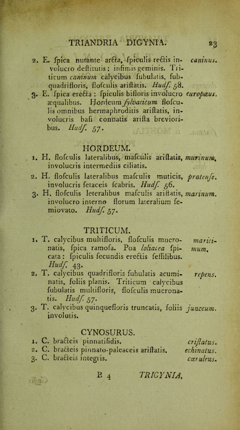 23 2. E. fpica nutante ar&a, fpieulisre&is in- caninus. voluero deftitutis: infimis geminis. Tri- ticum caninum calycibus fubulatis, fub- quadrifloris, flofculis ariflatis. Hudf. ^8. 3. E. fpica erefta : fpieulis bifloris involucro europasus, aequalibus. Hordeumfylvaticum flofeu- lis omnibus hermaphroditis ariflatis, in- volucris bafi connatis arifta breviori- bus. Hudf. 57. 1. H. flofculis lateralibus, mafculis ariflatis, murinum, involucris intermediis ciliatis. 2. H. flofculis lateralibus mafculis muticis, pratenfe, involucris fetaceis fcabris. Hudf. 56. 3. H, flofculis leteralibus mafculis ariflatis, marinum. involucro interno florum lateralium fe- miovato. Hudf 57. 1. T. calycibus multifloris, flofculis mucro- mariti- natis, fpica ramofa. Poa loliacea fpi- mums cata : fpieulis fecundis ere&is feflilibus. Hudf 43. 2. T. calycibus quadriflons fubulatis acumi- repens. natis, foliis planis. Triticum calycibus fubulatis multifloris, flofculis mucrona- tis. Hudf 57. 3. T. calycibus quinquefloris truncatis, foliis junceum. involutis. HORDEUM. TRITICUM. CYNOSURUS. 1. C. bra&eis pinnatifidis. 2. C. bra&eis pinnato-paleaceis ariflatis, 3. C. bra&eis integris. crijlaius. echinatus. coeruleus. TRIGYNIA,