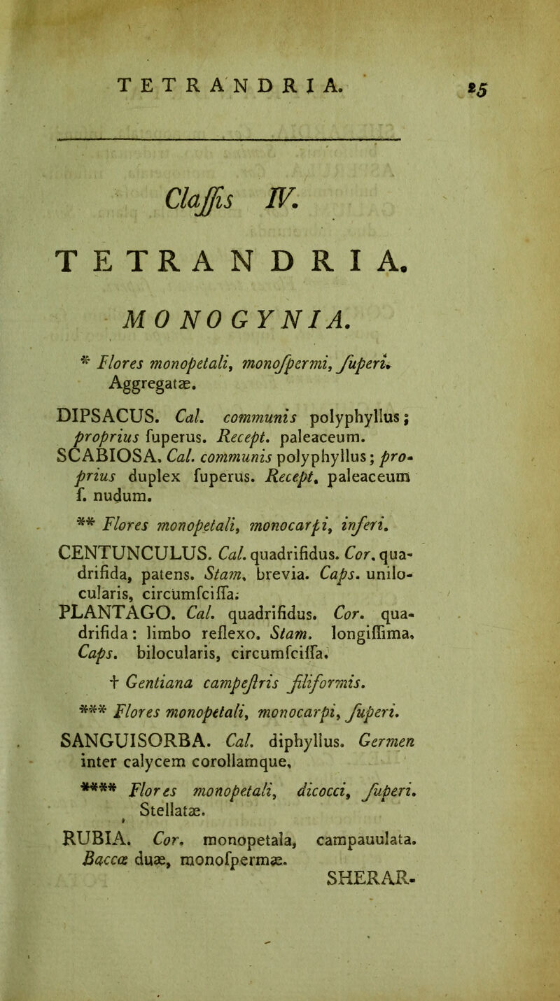 TETRANDRIA. *5 Clajfis IV. TETRANDRIA. MO NO GY N IA. * Flores monopetali, monofpermi, fuperi. Aggregatas. DIPSACUS. Cal. communis polyphyllus; proprius fuperus. Recept. paleaceum. SCABIOSA. Cal. communis polyphyllus; pro- prius duplex fuperus. Recept. paleaceum f. nudum. ** Flores monopetali, monocarfi, inferi. CENTUNCULUS. fo/. quadrifidus, for. qua- drifida, patens. SAzra, brevia. Caps. unilo- cularis, circumfcifla; PLANTAGO. Cal. quadrifidus, for. qua- drifida : limbo reflexo. Stam. longiflima, Caps. bilocularis, circumfcifla. + Gentiana campefris fliformis. *** Flores monopetali, monocarpi, fuperi. SANGUISORBA. fo/. diphyllus. Germen inter calycem corollamque, **** Flores monopetali, dicocci9 fuperi. Stellatas. * RUBIA, for. monopetala, campauulata. ifccccs duas, raonofpermse. SHERAR-